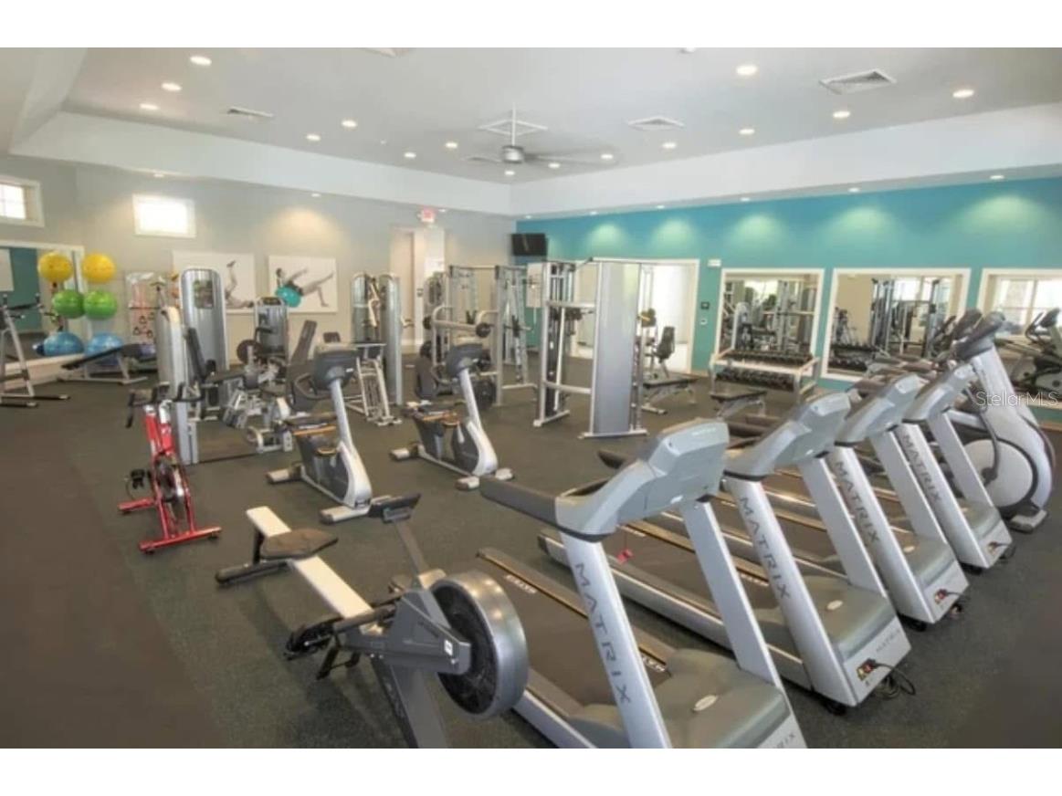 13483 Sagestone Drive Winter Garden FL 34787 O6365207 image13