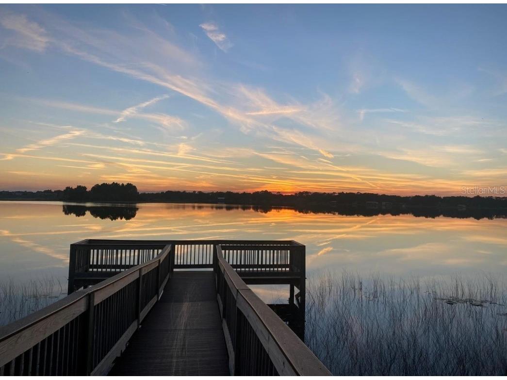 13483 Sagestone Drive Winter Garden FL 34787 O6365207 image14