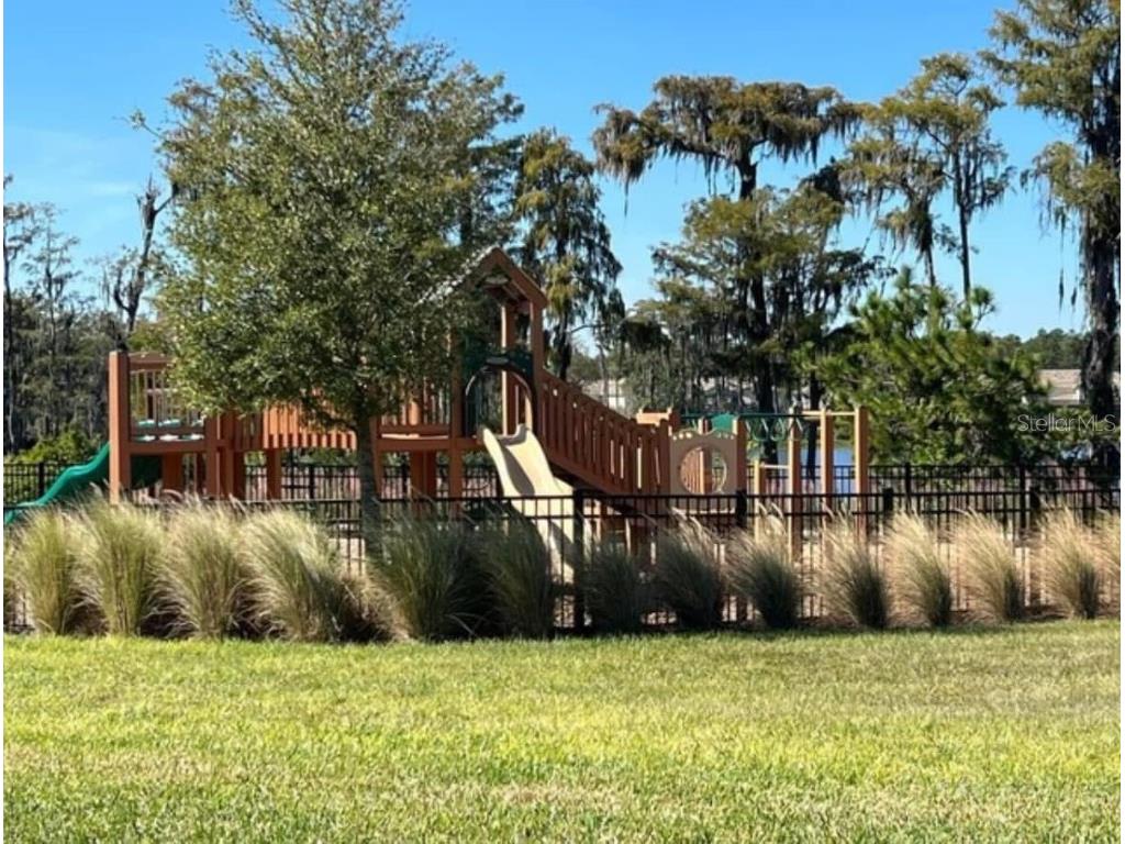 13483 Sagestone Drive Winter Garden FL 34787 O6365207 image16