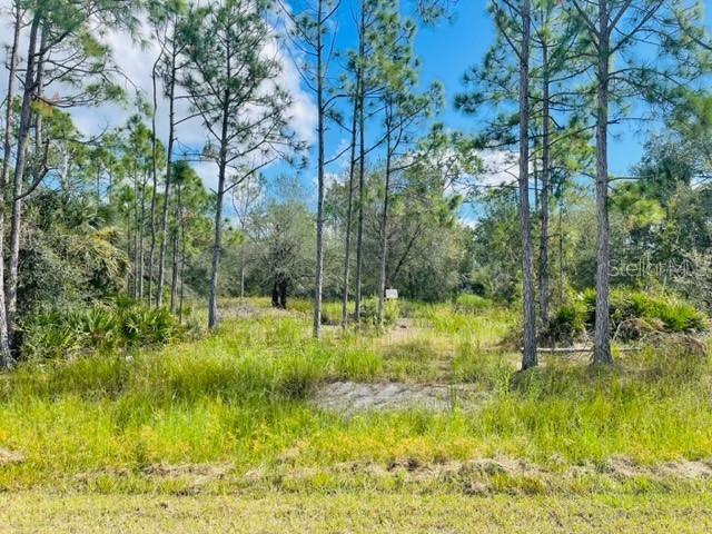 13484 Michilin Avenue Punta Gorda FL 33955 D6133048 image1