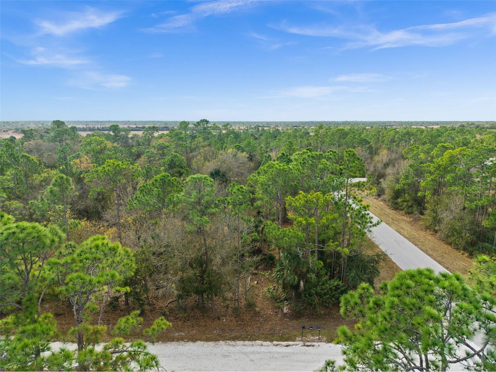 13484 Michilin Avenue Punta Gorda FL 33955 TB8478899 image4