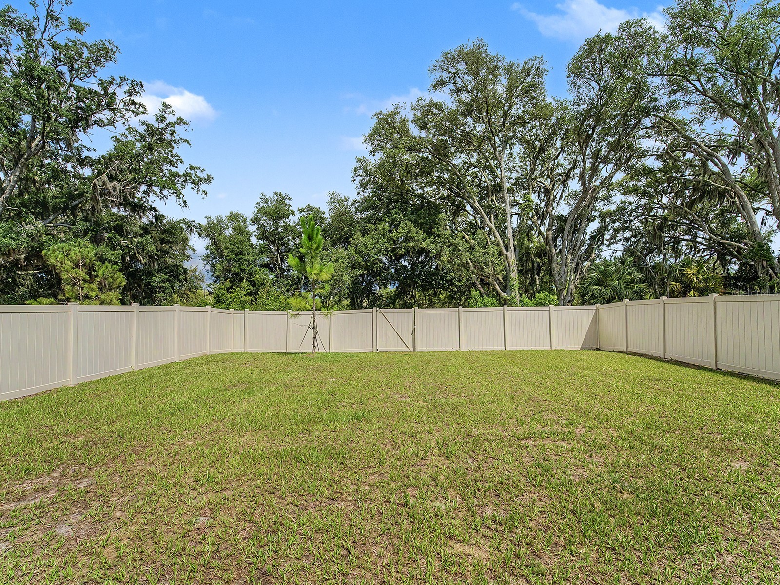 13484 Mylion Way Spring Hill FL 34610 TB8519036 image36