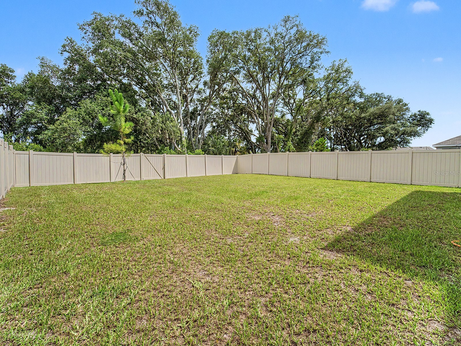 13484 Mylion Way Spring Hill FL 34610 TB8519036 image37