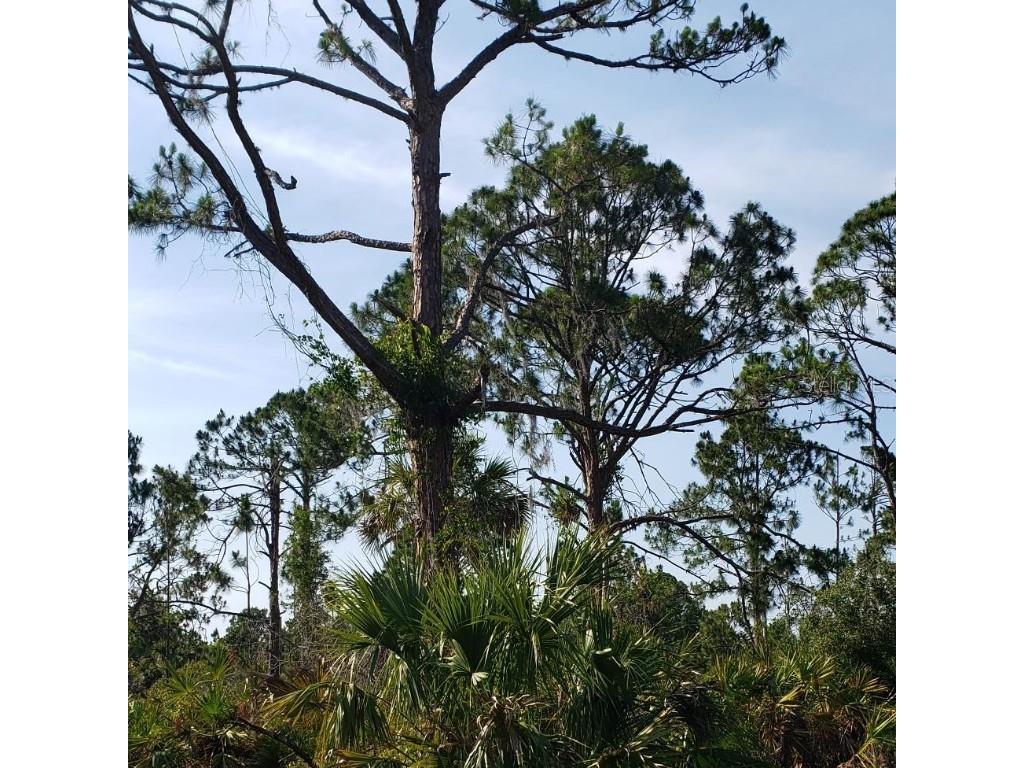 13484 Sheppard Avenue Port Charlotte FL 33953 N6126705 image1