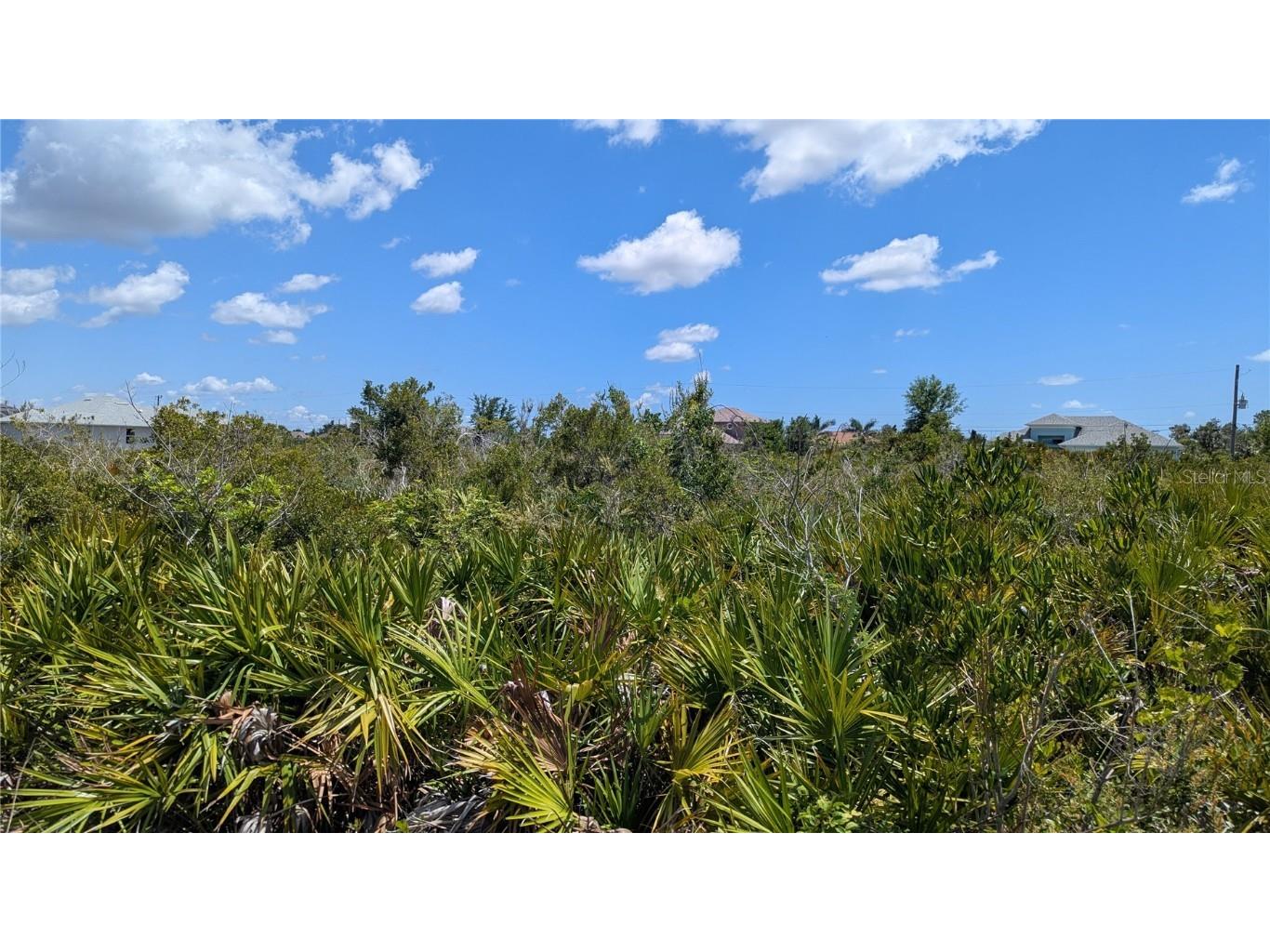 13485 Abutilon Lane Port Charlotte FL 33981 D6142381 image3