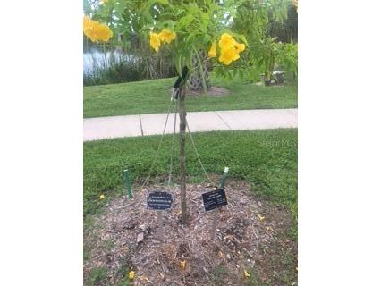 13485 Abutilon Lane Port Charlotte FL 33981 D6142381 image7