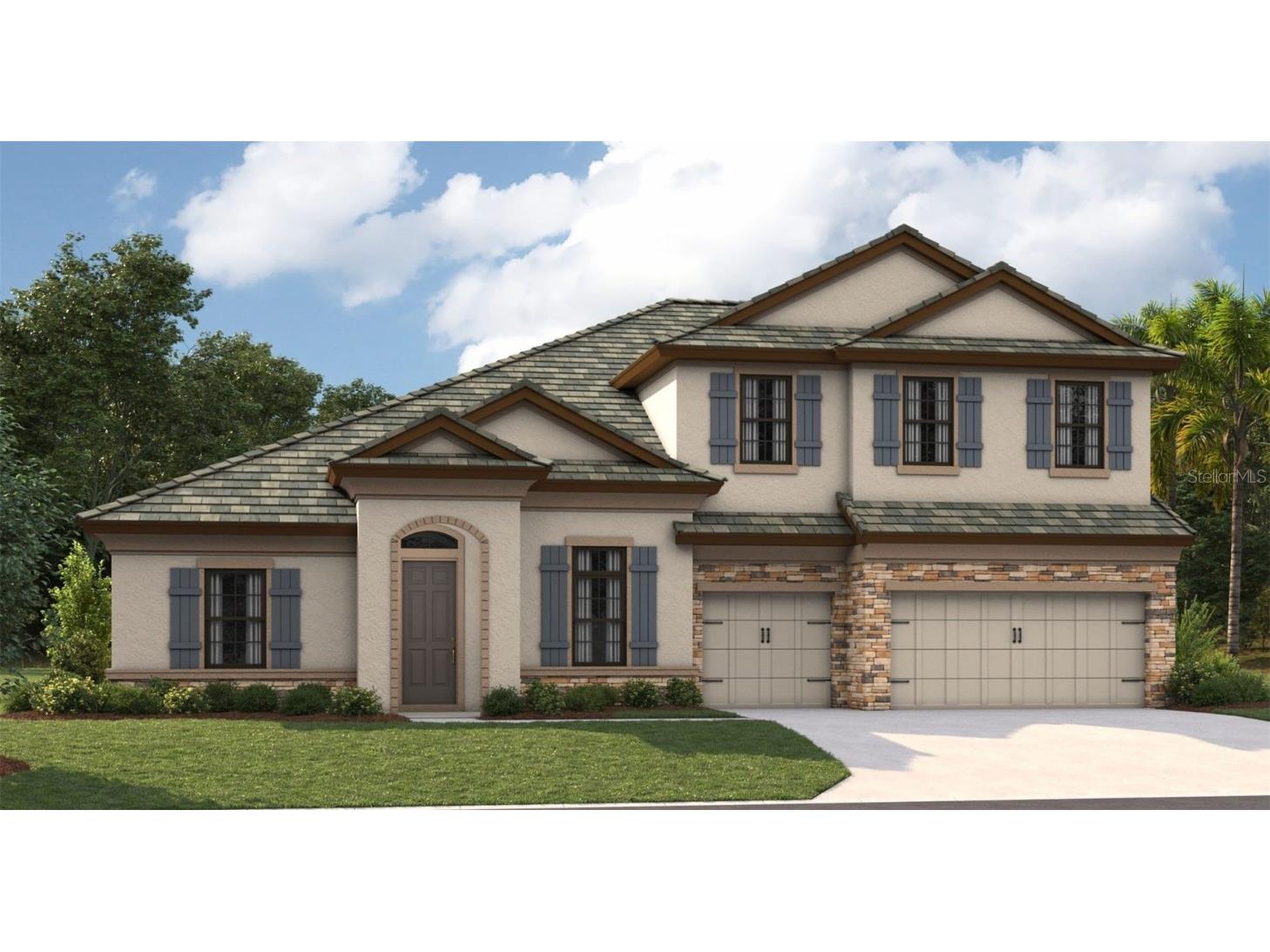 13486 Buffalo Mountain Avenue Riverview FL 33579 J989801 image1