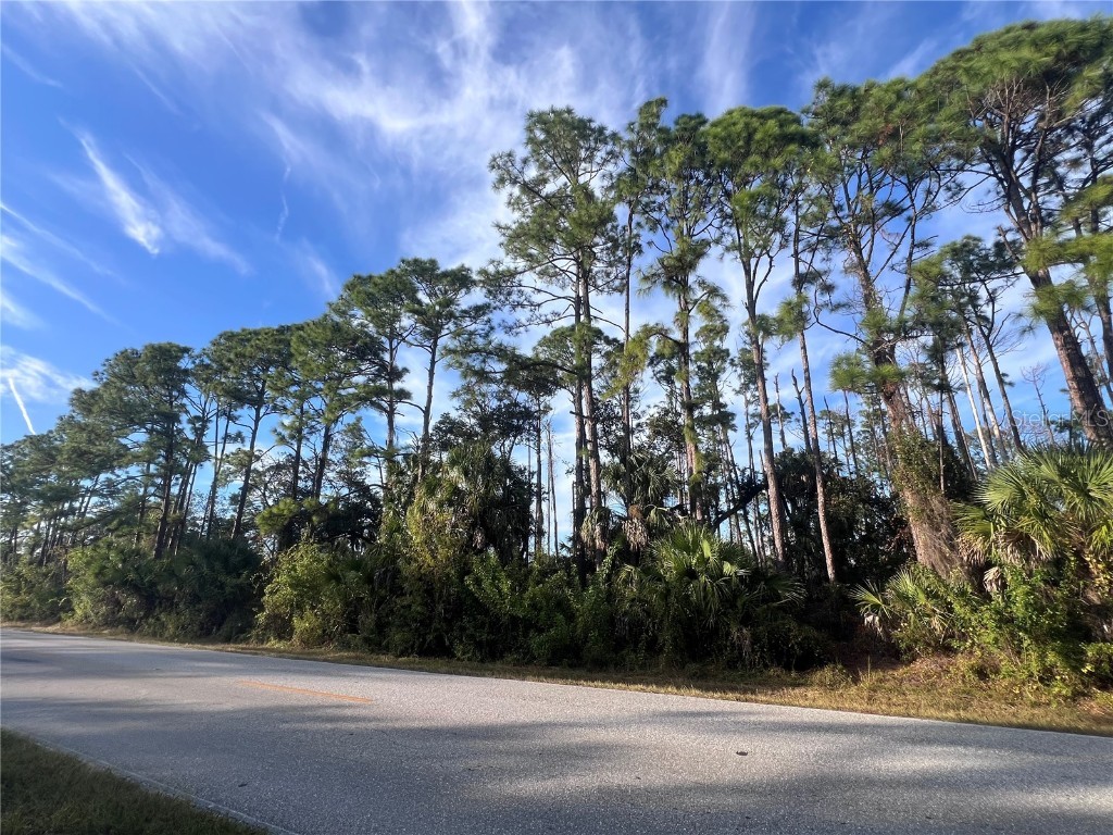 13486 Chamberlain Boulevard Port Charlotte FL 33953 A4673582 image10