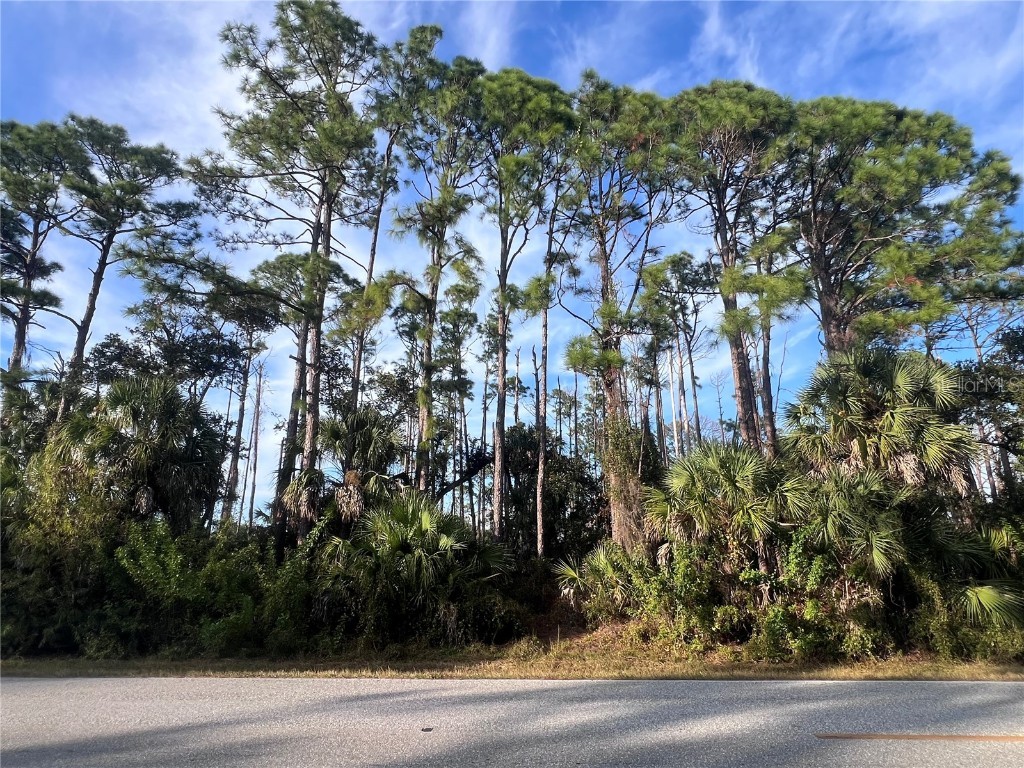 13486 Chamberlain Boulevard Port Charlotte FL 33953 A4673582 image2