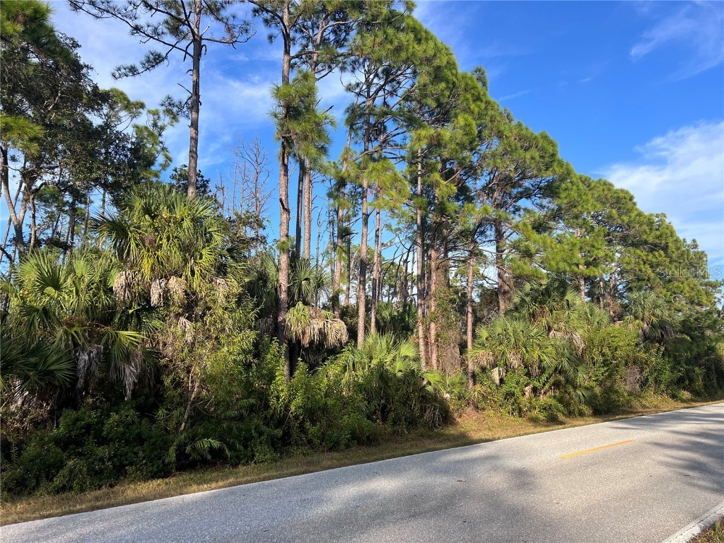 13486 Chamberlain Boulevard Port Charlotte FL 33953 A4673582 image3