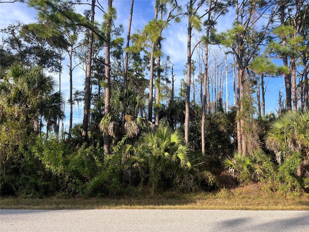 13486 Chamberlain Boulevard Port Charlotte FL 33953 A4673582 image4