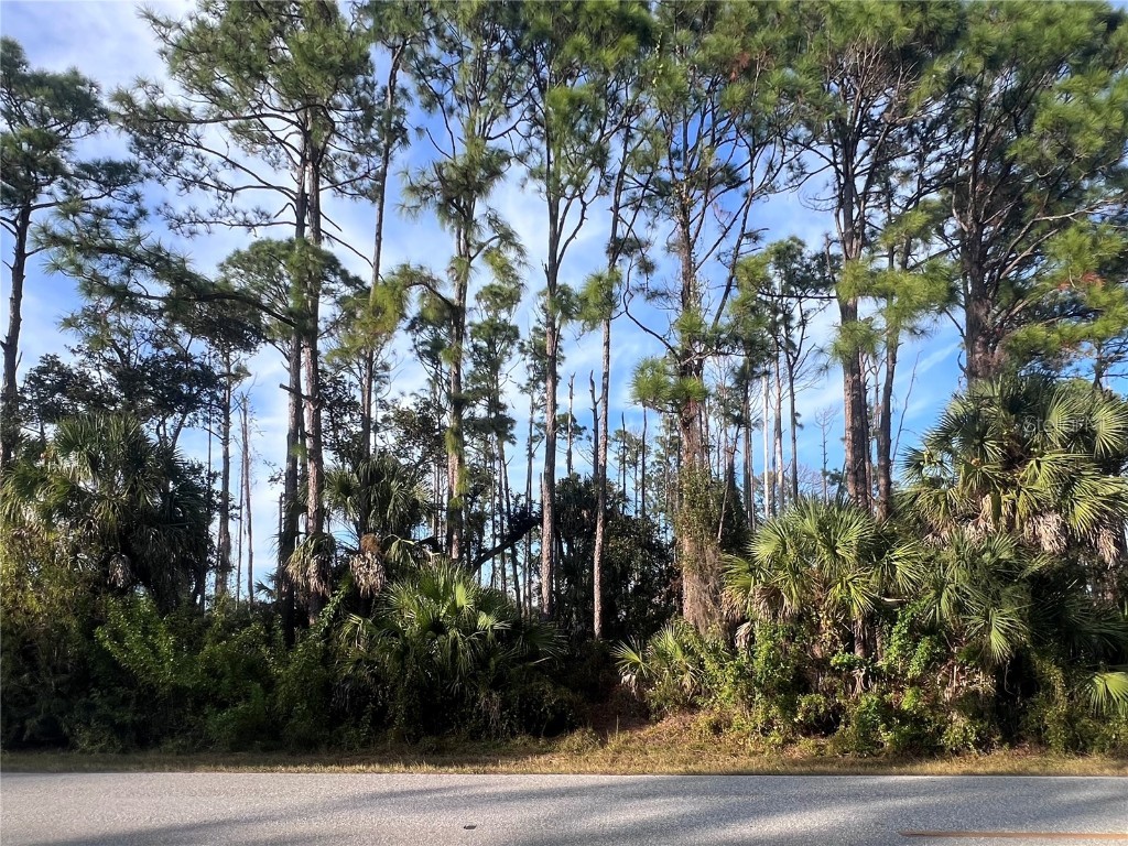 13486 Chamberlain Boulevard Port Charlotte FL 33953 A4673582 image9