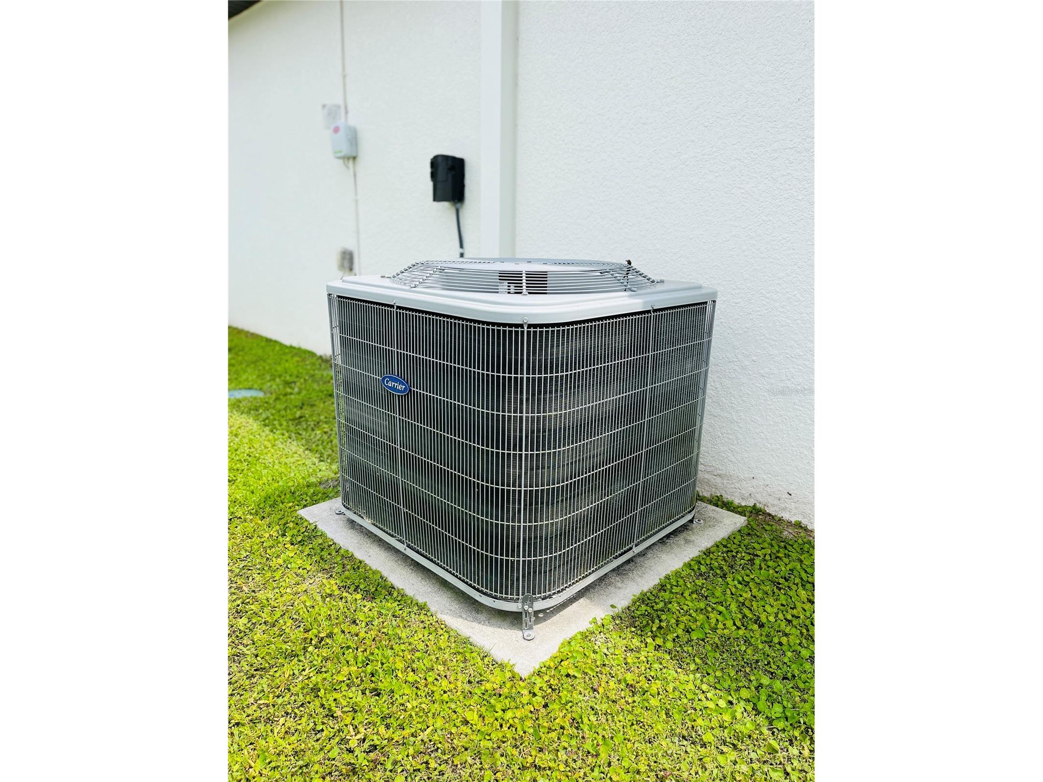 13486 English Sparrow Road Weeki Wachee FL 34614 TB8498860 image46