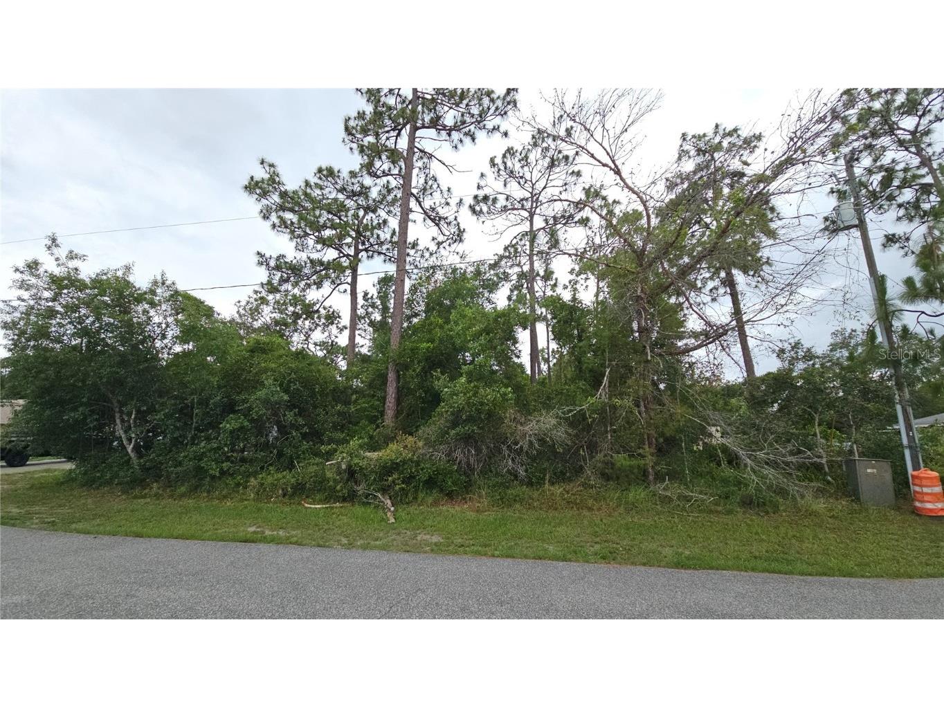 1349 Lodge Terrace Deltona FL 32738 V4943176 image1