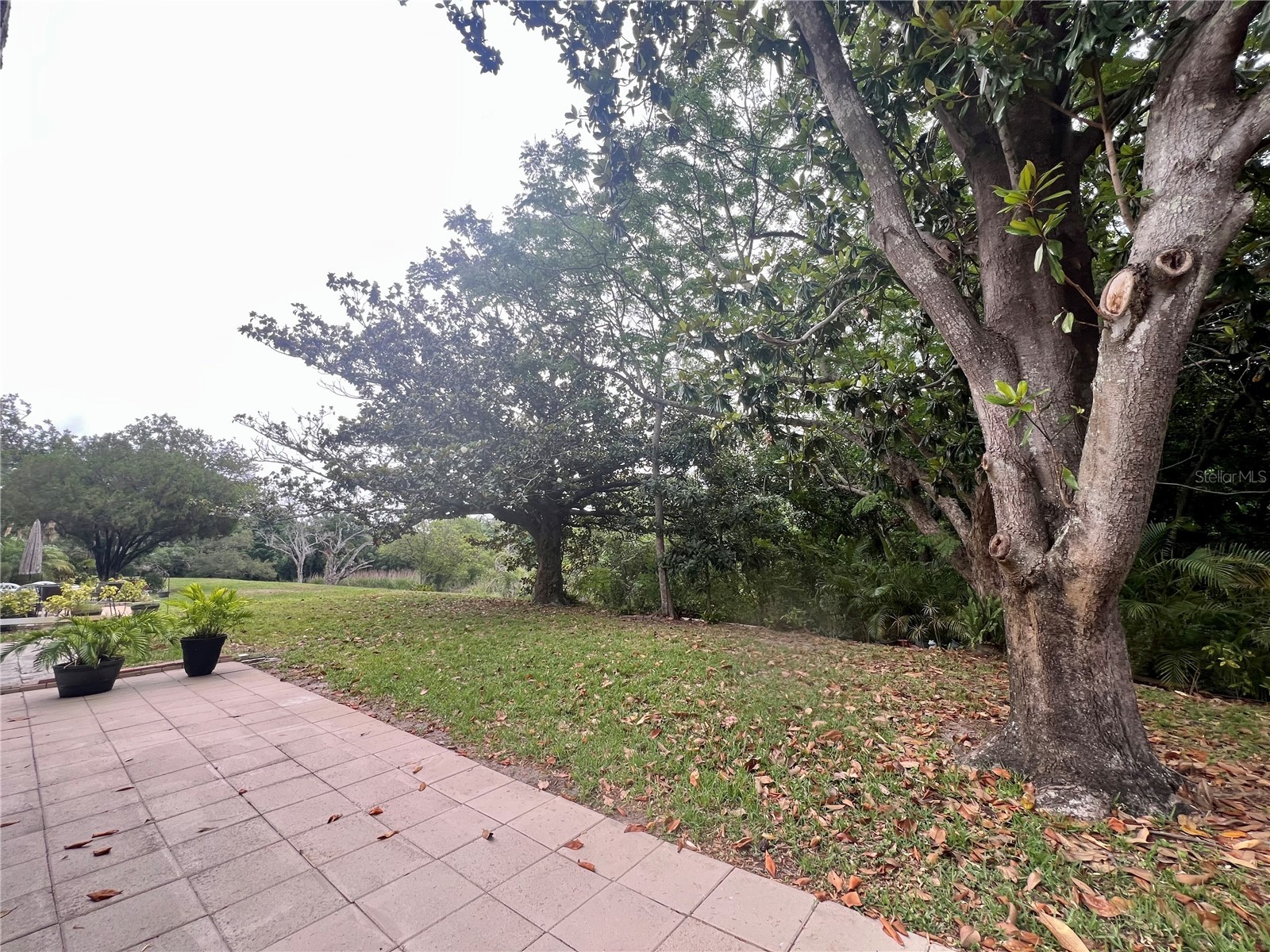 1349 Mission Circle #48-F Clearwater FL 33759 TB8508026 image15
