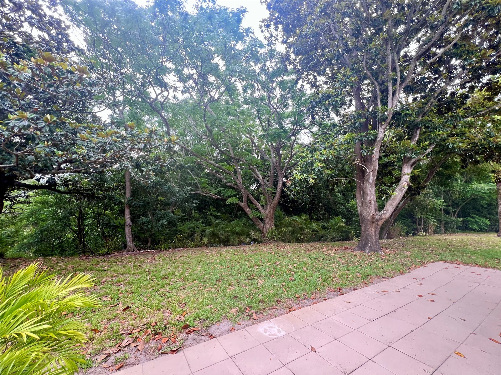 1349 Mission Circle #48-F Clearwater FL 33759 TB8508026 image16