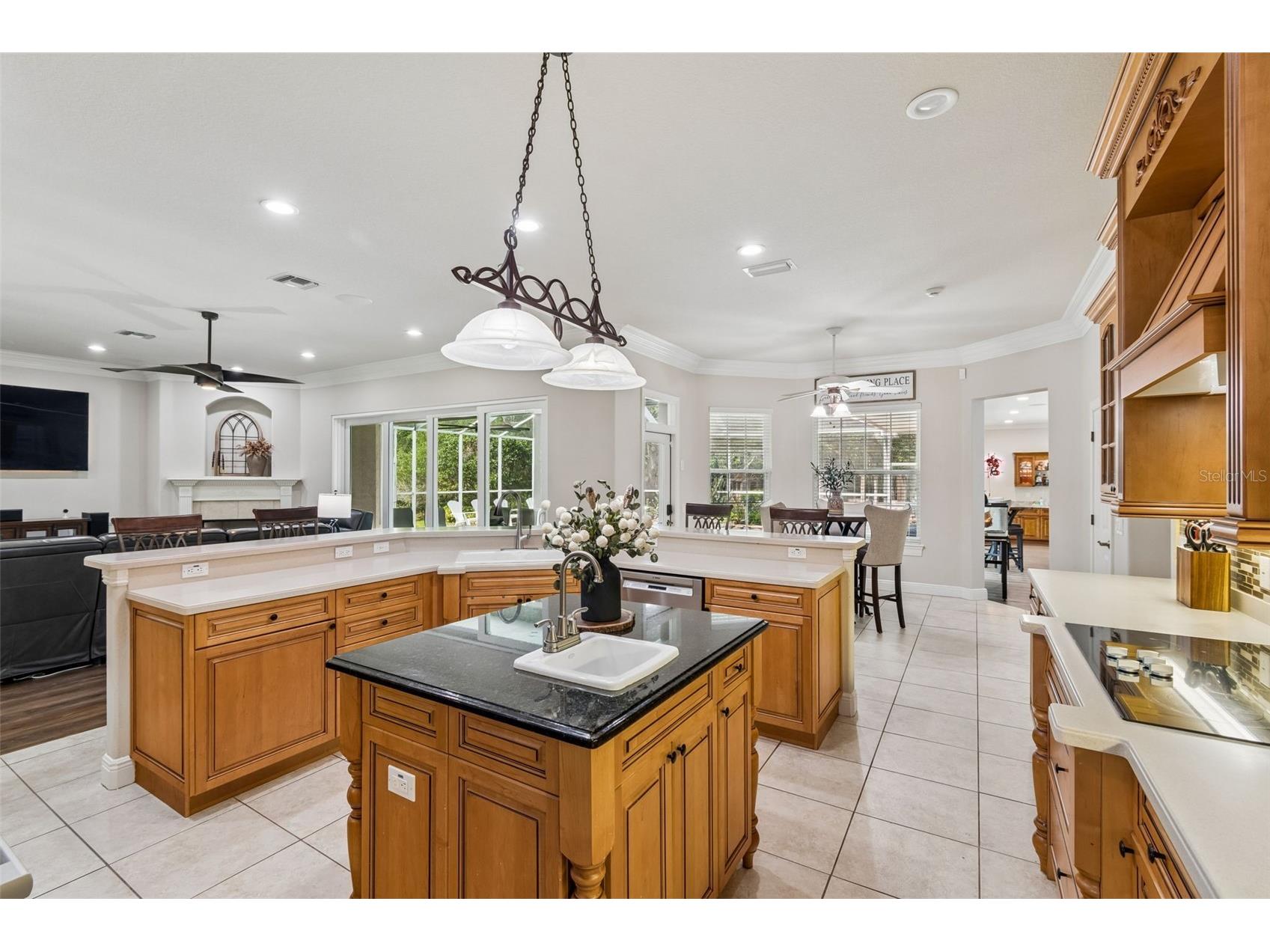 1349 Oak Meadow Point New Port Richey FL 34655 W7885192 image16