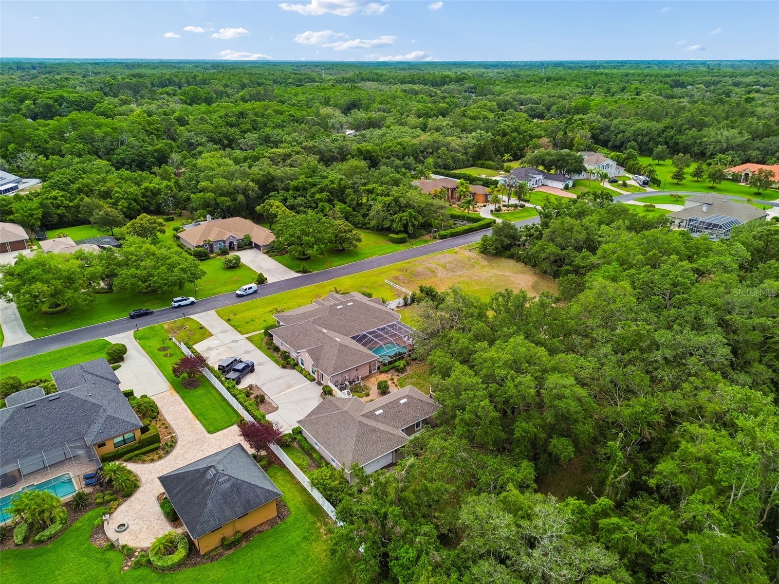 1349 Oak Meadow Point New Port Richey FL 34655 W7885192 image6