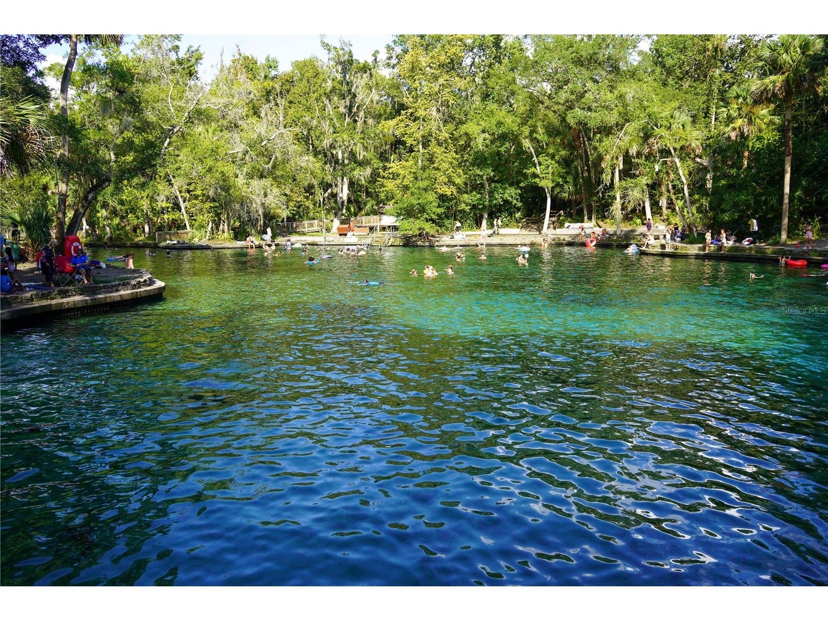 1349 Valley Pine Circle Apopka FL 32712 O6408227 image80