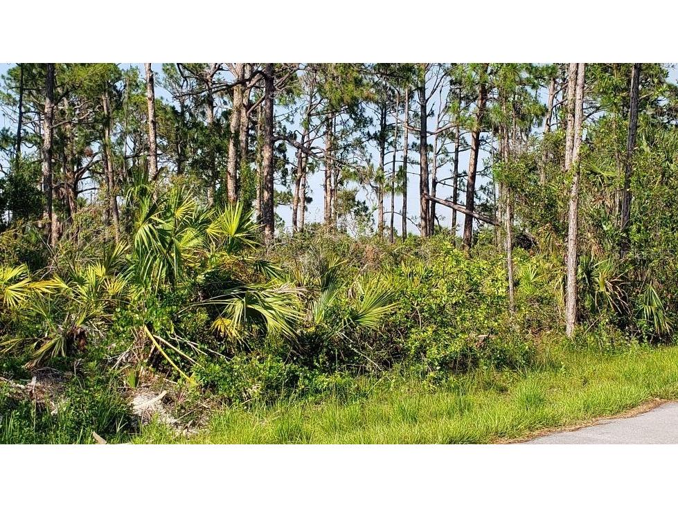 13492 Sheppard Avenue Port Charlotte FL 33953 N6126704 image1