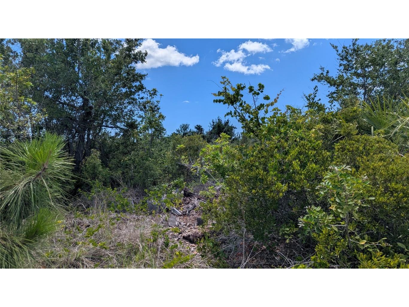 13493 Abutilon Lane Port Charlotte FL 33981 D6142349 image3