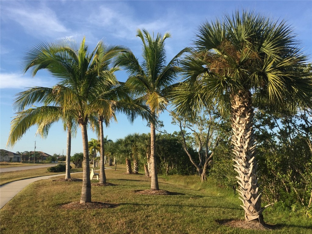 13493 Abutilon Lane Port Charlotte FL 33981 D6142349 image8