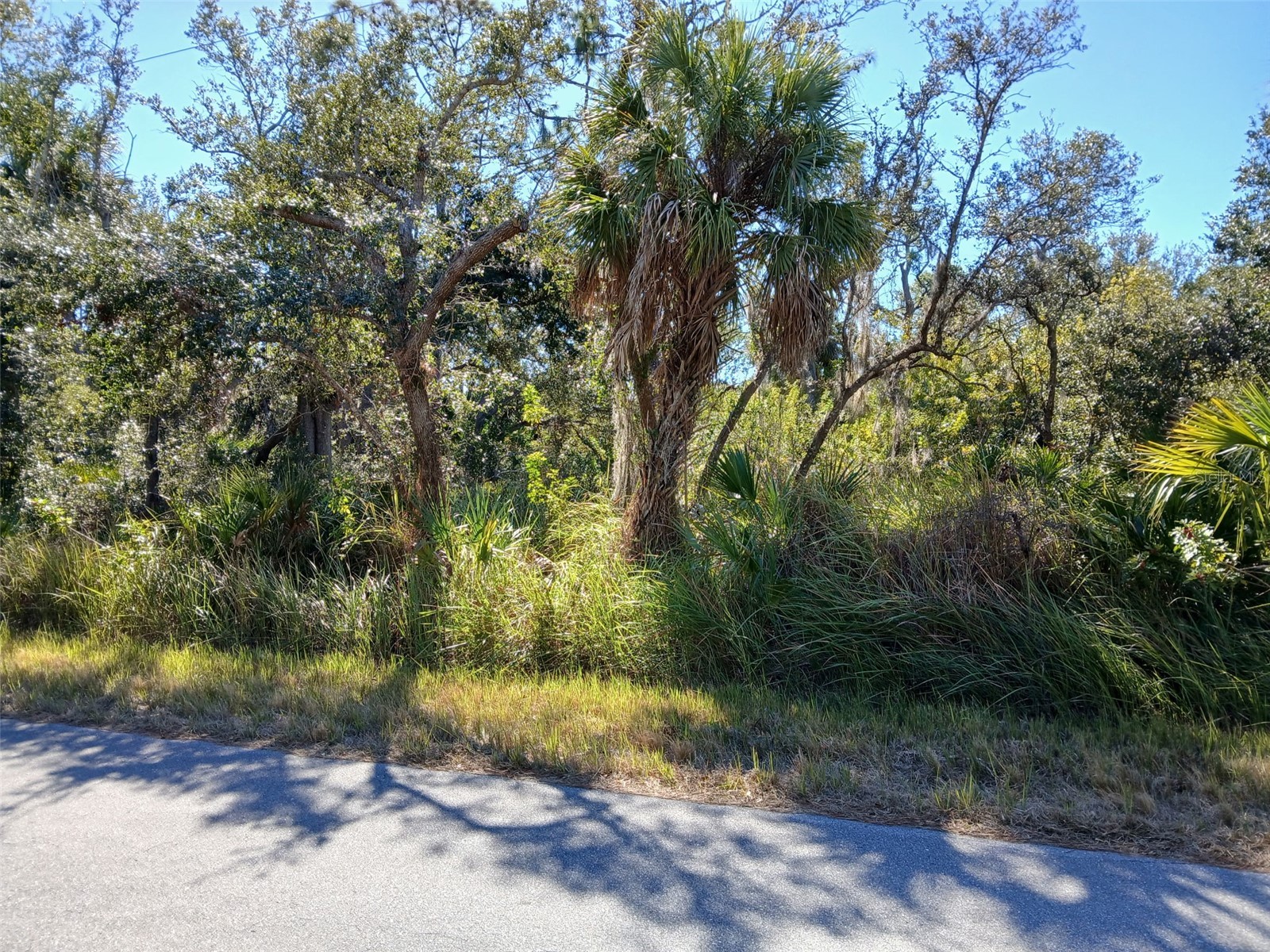 13493 Markham Avenue Port Charlotte FL 33953 - JUNO WATERWAY D6145951 image1