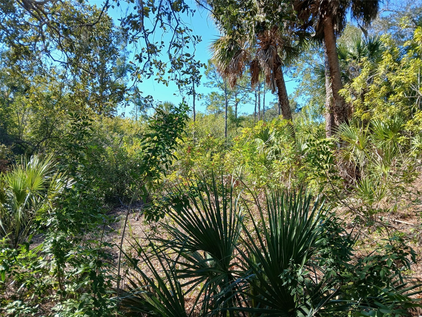 13493 Markham Avenue Port Charlotte FL 33953 - JUNO WATERWAY D6145951 image10