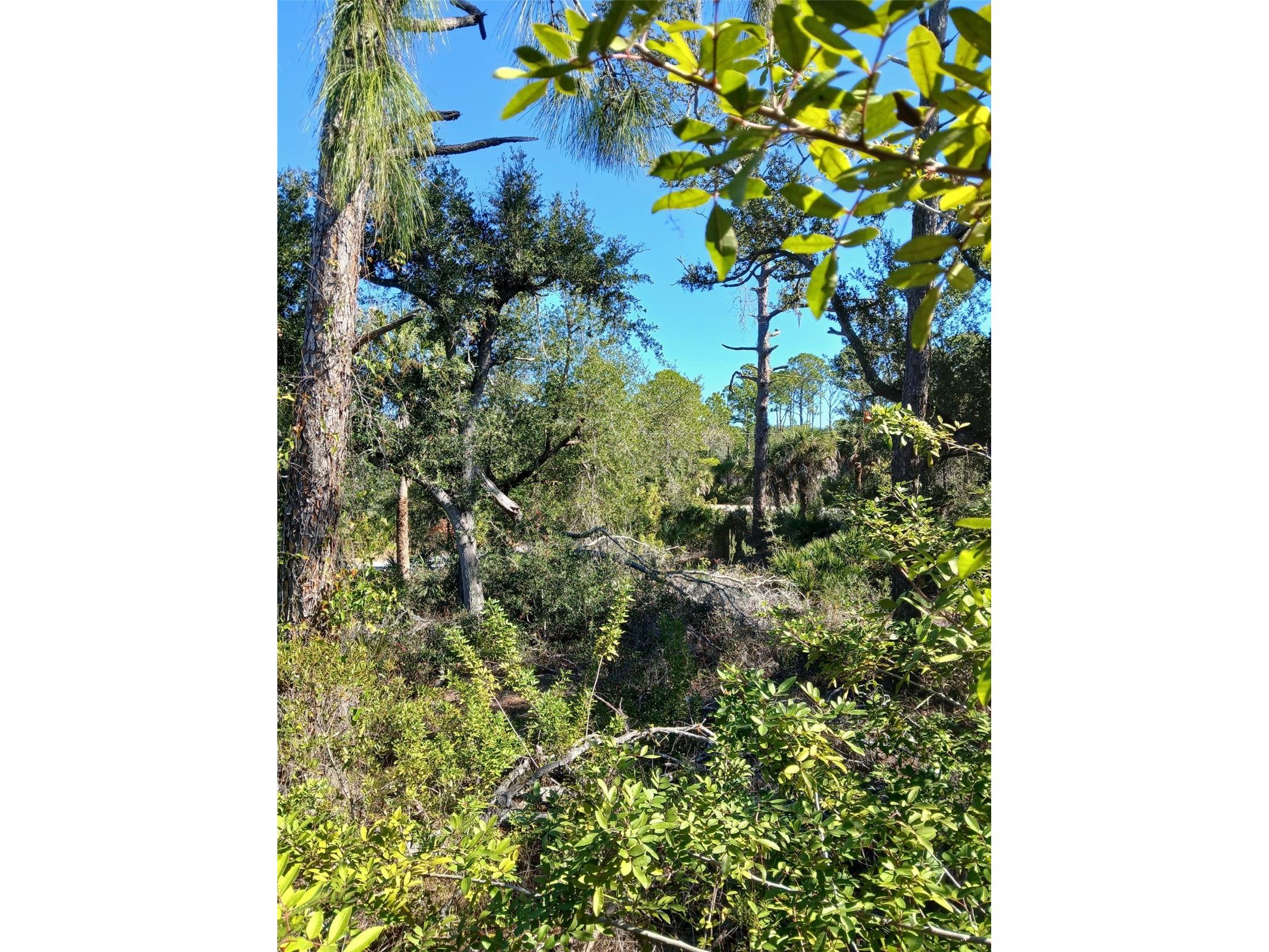 13493 Markham Avenue Port Charlotte FL 33953 - JUNO WATERWAY D6145951 image14