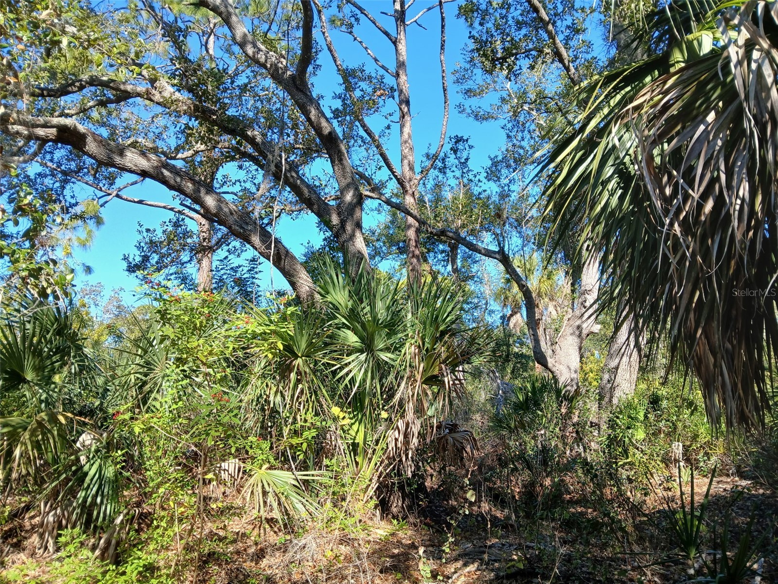 13493 Markham Avenue Port Charlotte FL 33953 - JUNO WATERWAY D6145951 image18