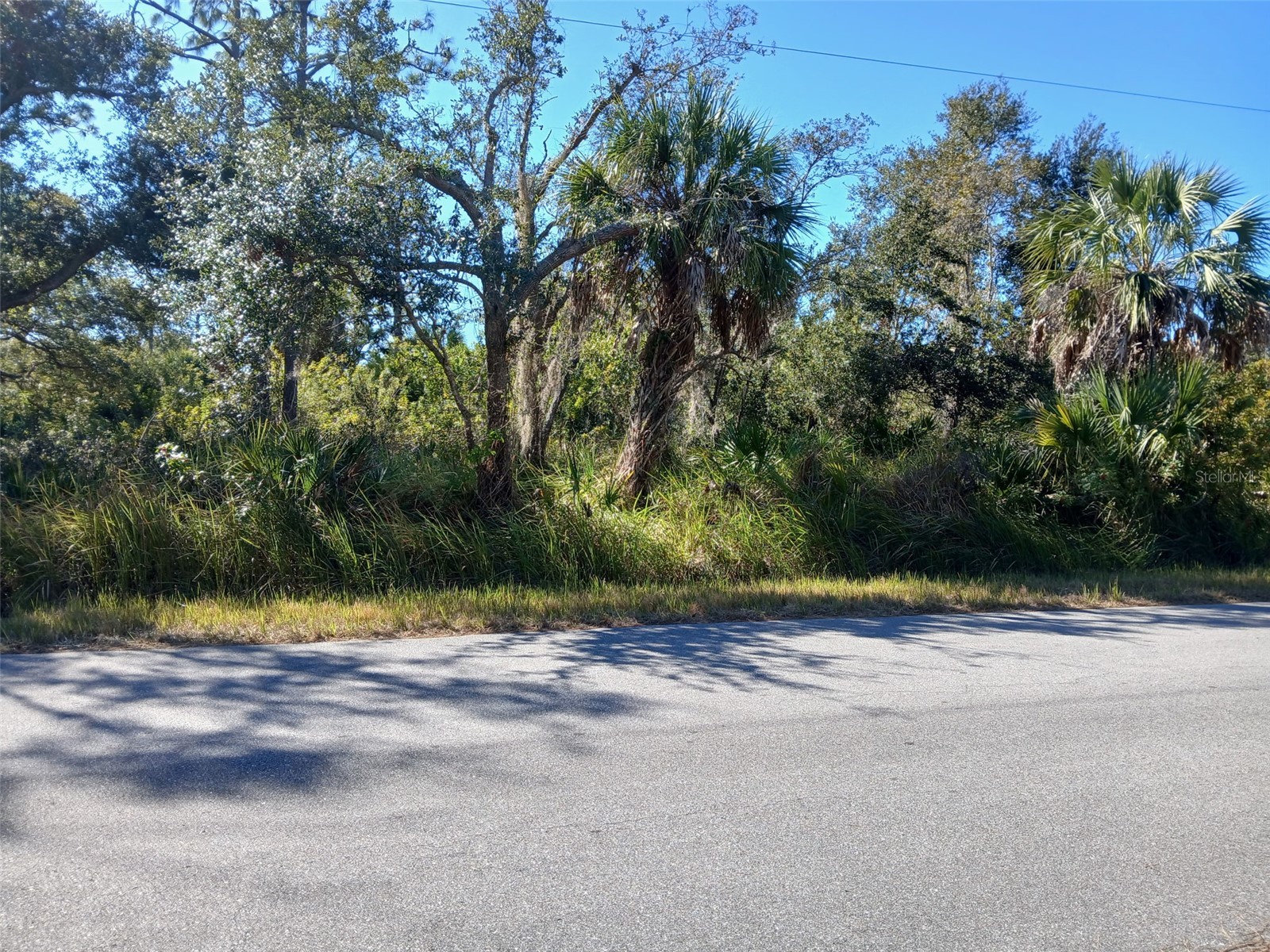 13493 Markham Avenue Port Charlotte FL 33953 - JUNO WATERWAY D6145951 image2