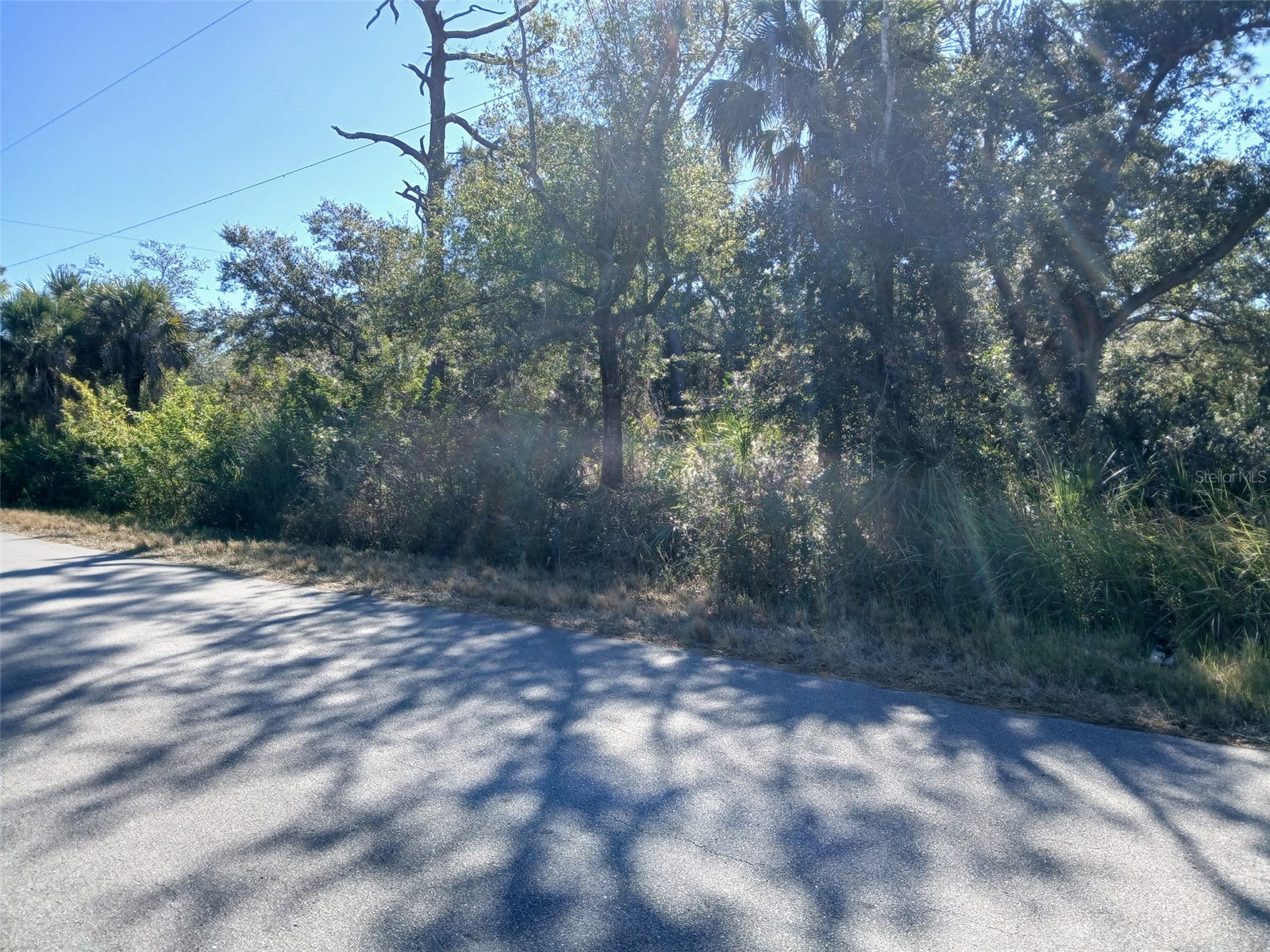 13493 Markham Avenue Port Charlotte FL 33953 - JUNO WATERWAY D6145951 image20