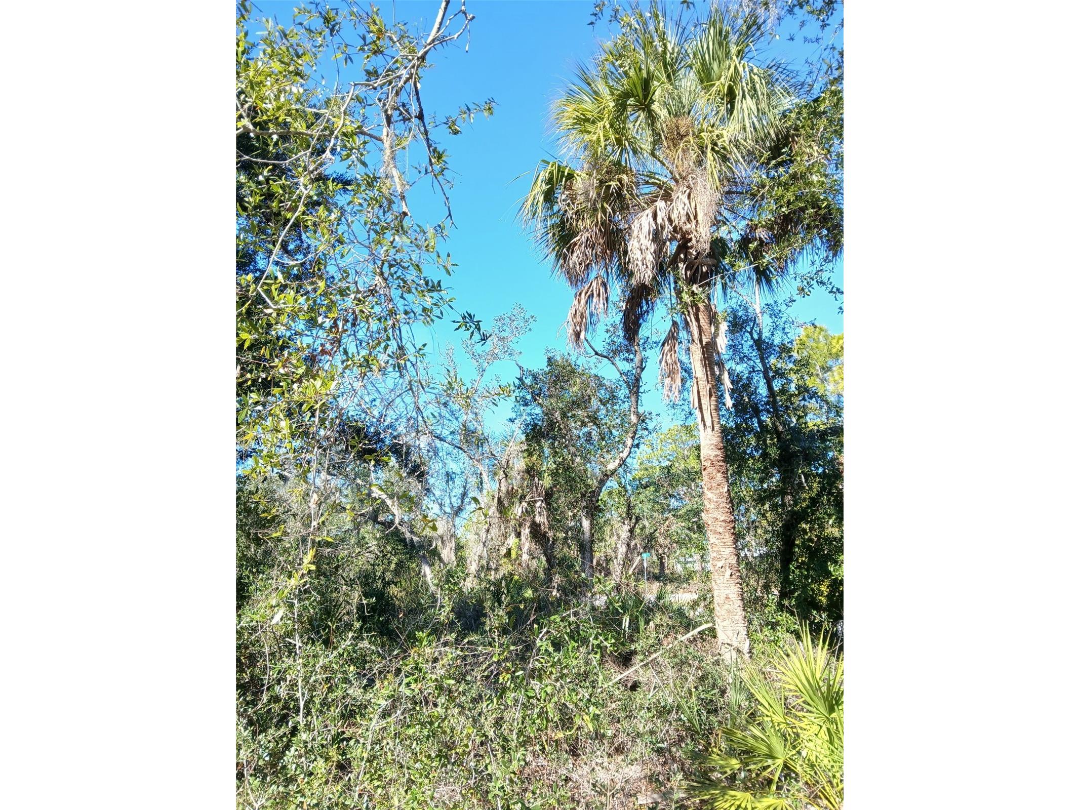 13493 Markham Avenue Port Charlotte FL 33953 - JUNO WATERWAY D6145951 image21