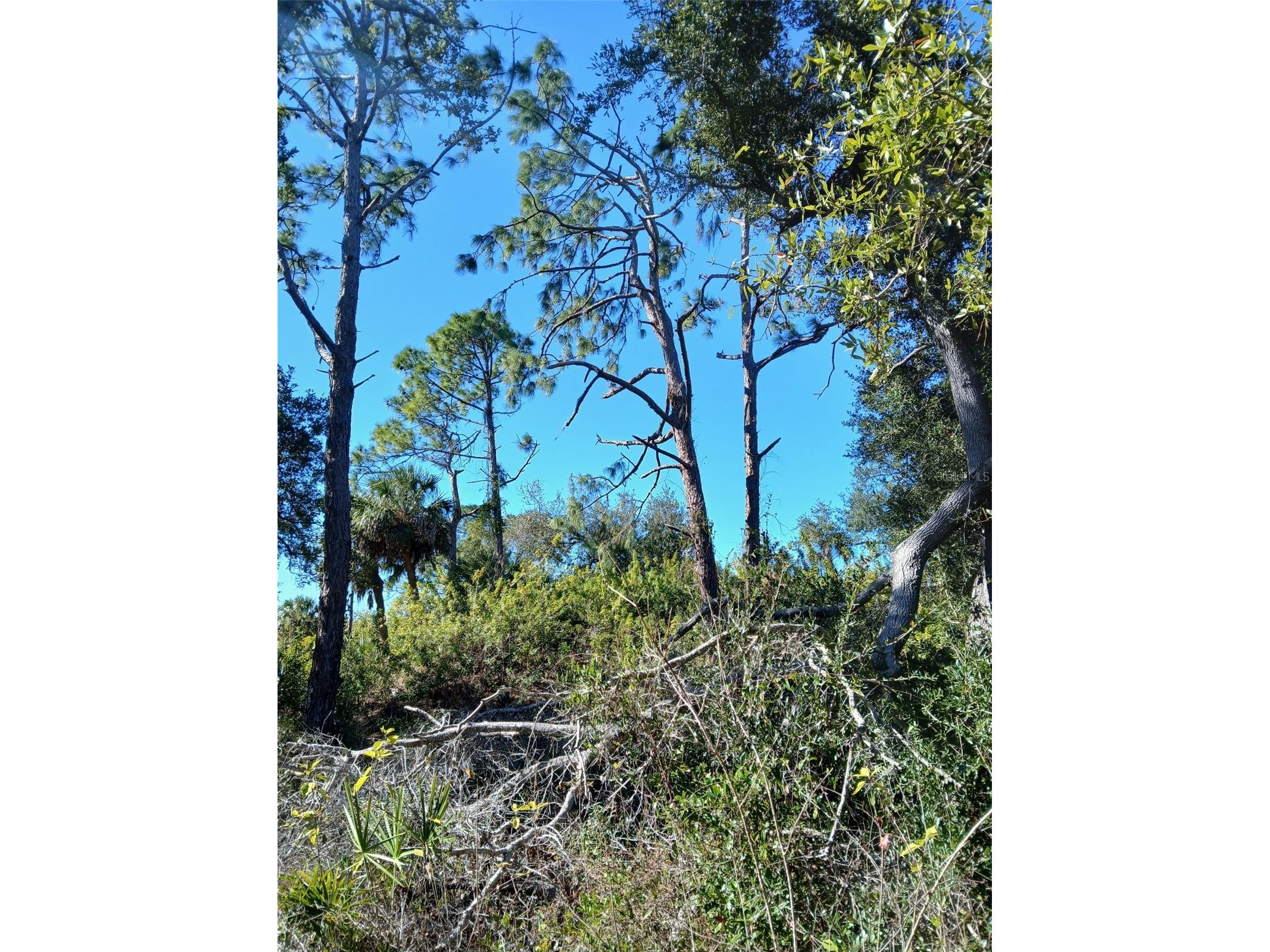 13493 Markham Avenue Port Charlotte FL 33953 - JUNO WATERWAY D6145951 image22