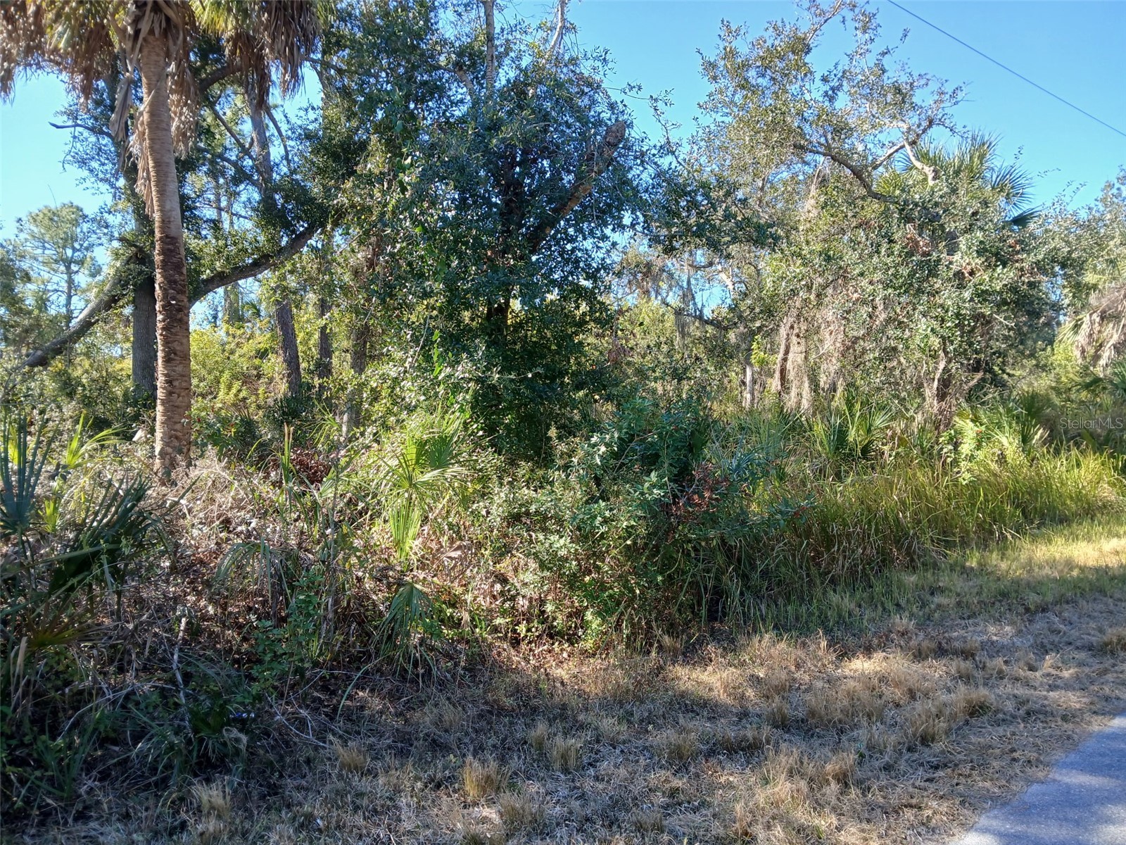 13493 Markham Avenue Port Charlotte FL 33953 - JUNO WATERWAY D6145951 image24