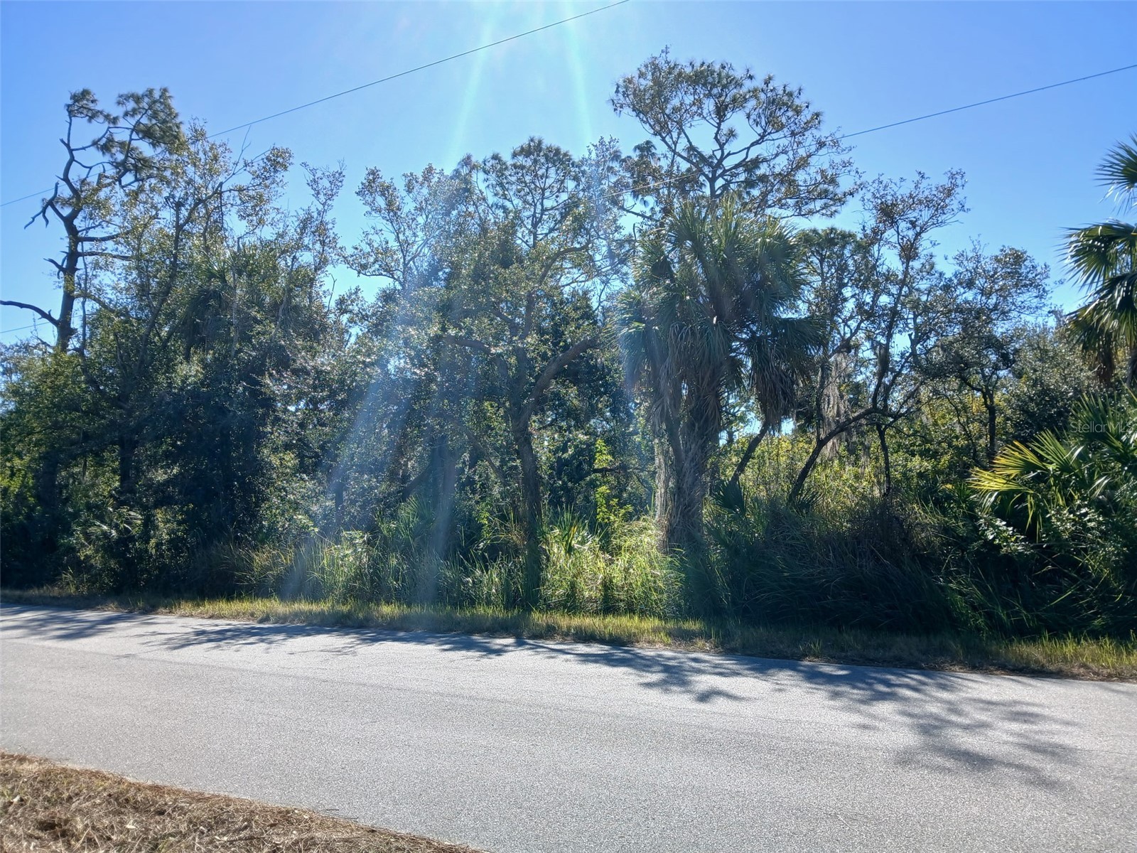 13493 Markham Avenue Port Charlotte FL 33953 - JUNO WATERWAY D6145951 image25