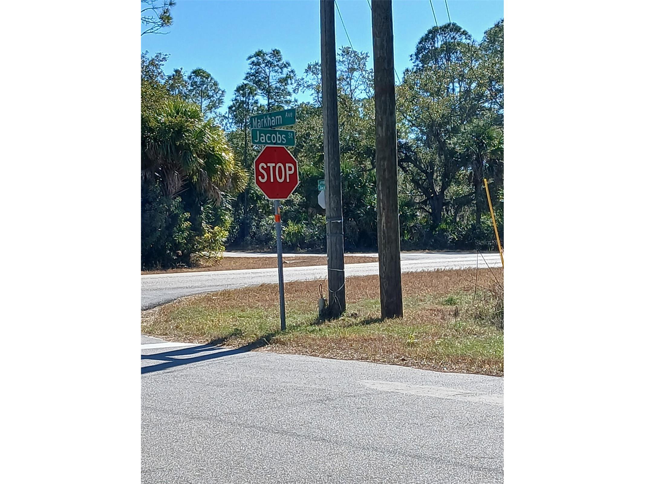 13493 Markham Avenue Port Charlotte FL 33953 - JUNO WATERWAY D6145951 image26