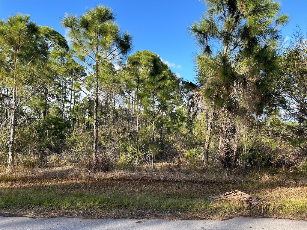 13494&13502 Suribachi Avenue Port Charlotte FL 33953 C7487601 image2