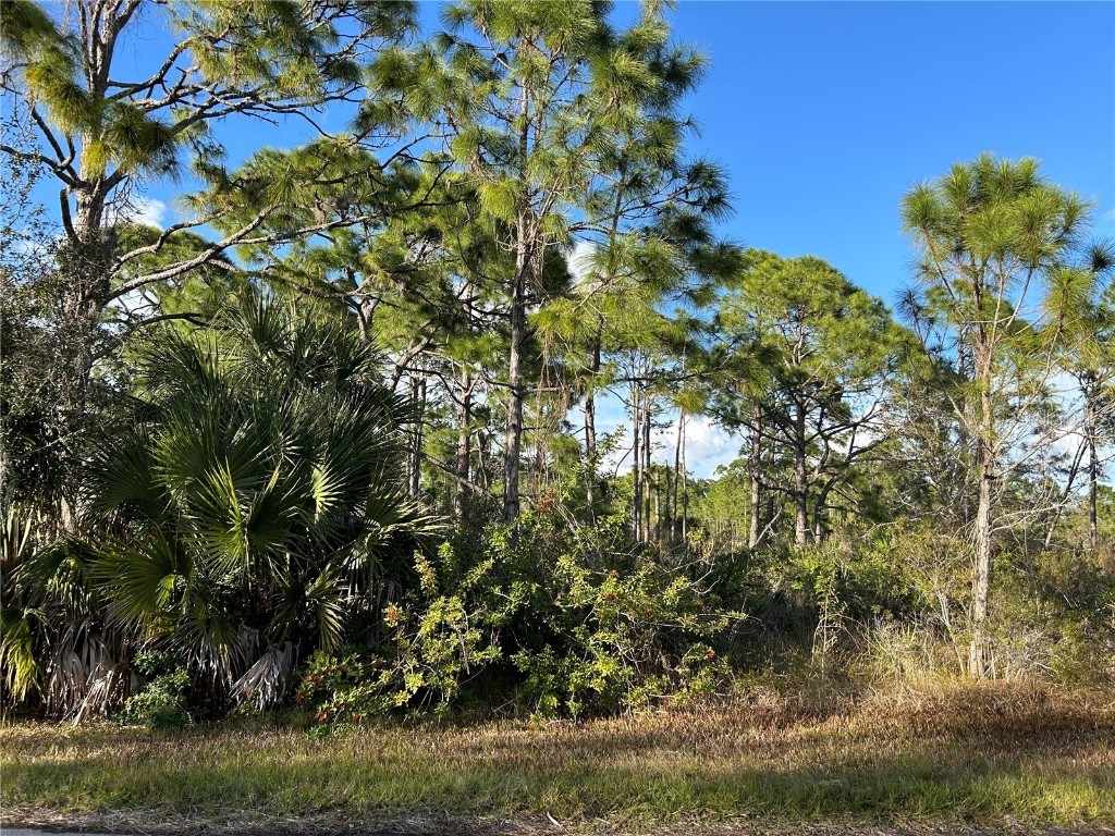 13494&13502 Suribachi Avenue Port Charlotte FL 33953 C7487601 image6
