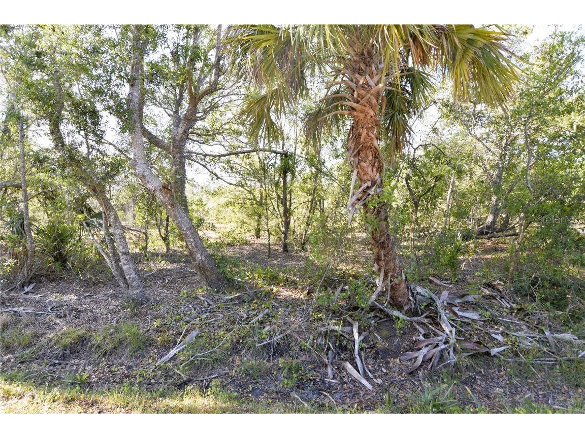 13494 Mission Drive Punta Gorda FL 33955 C7473561 image1