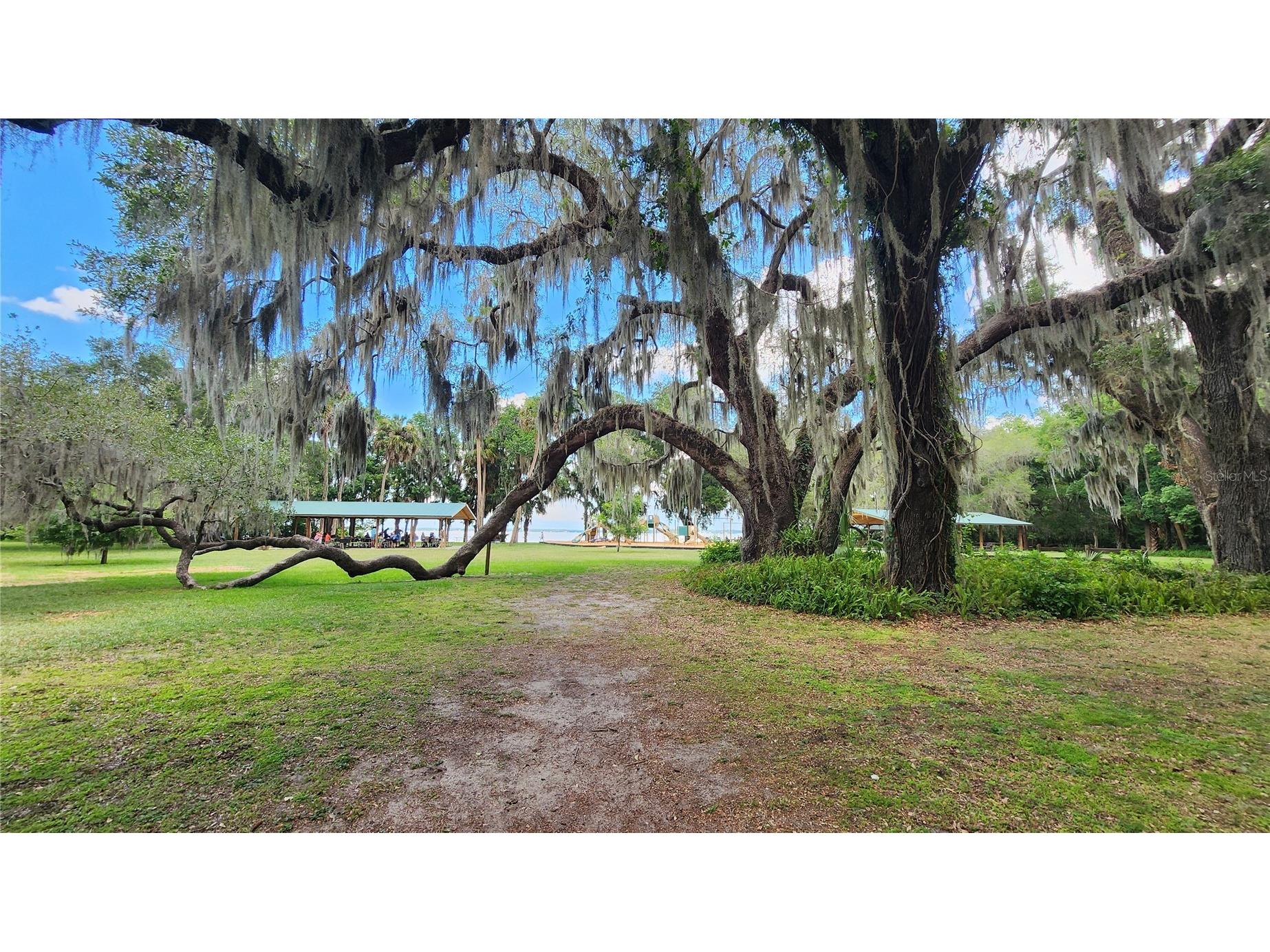 13495 SE 108th Court Road Ocklawaha FL 32179 - LITTLE LAKE WEIR OM726553 image40