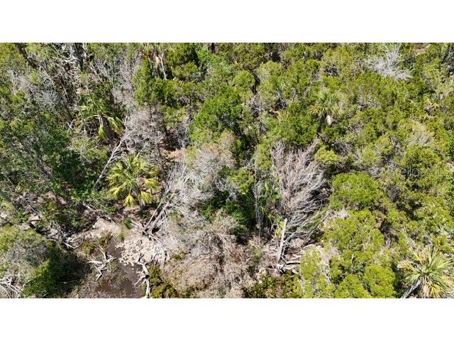 13495 Sportsman Island Homosassa FL 34448 TB8384091 image6