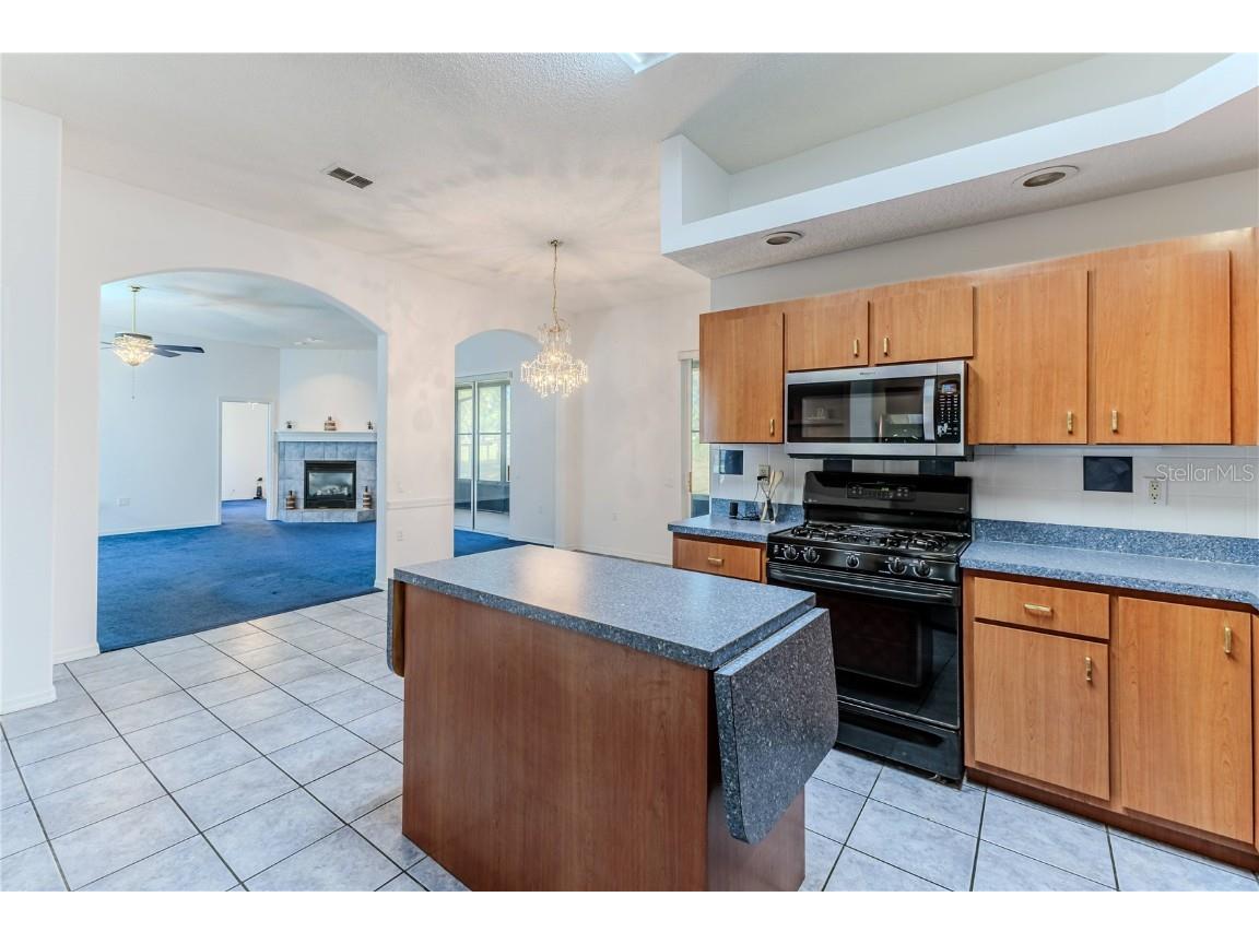 13496 S Oakview Avenue Floral City FL 34436 W7873427 image29