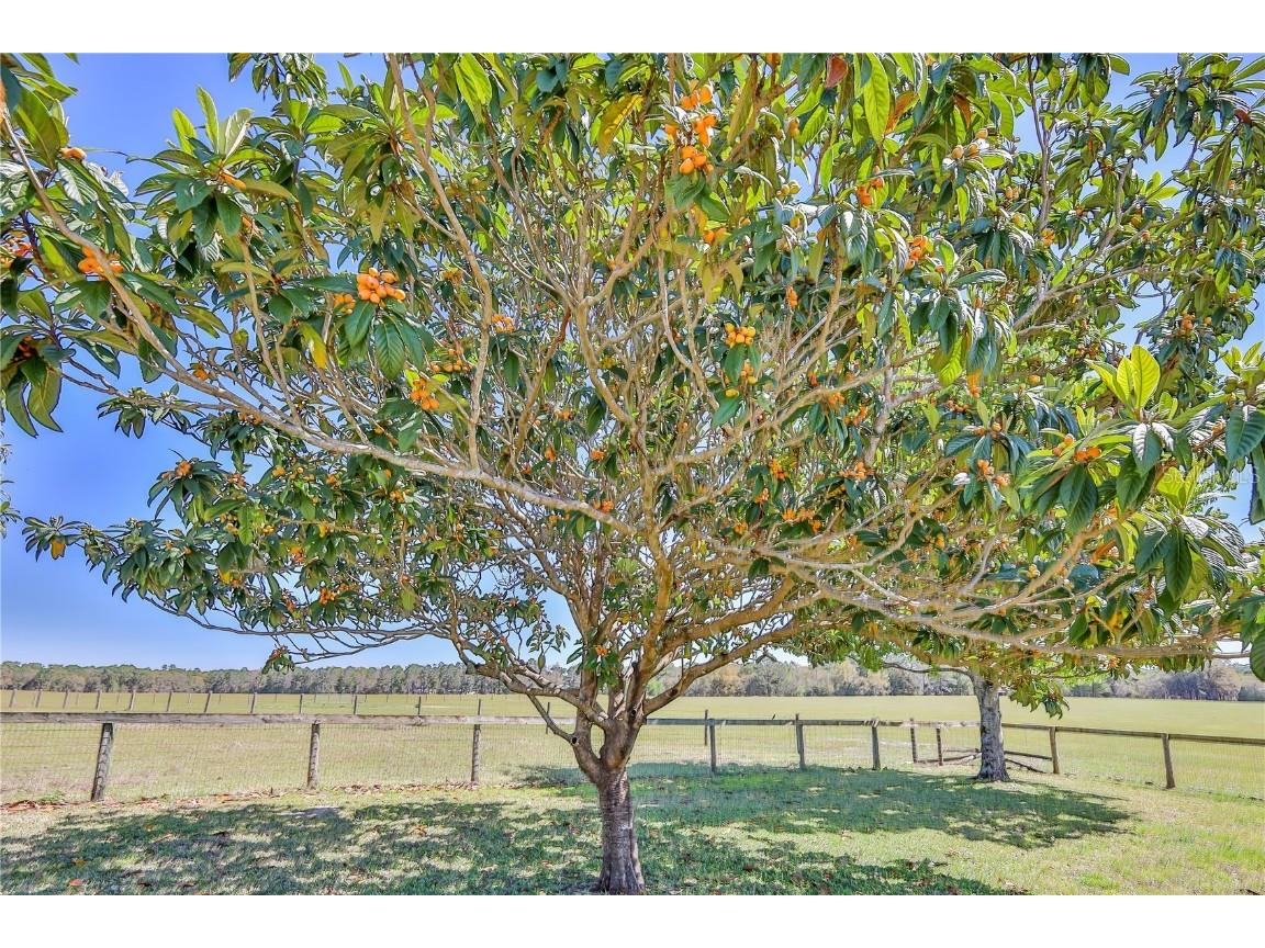 13496 S Oakview Avenue Floral City FL 34436 W7873427 image81