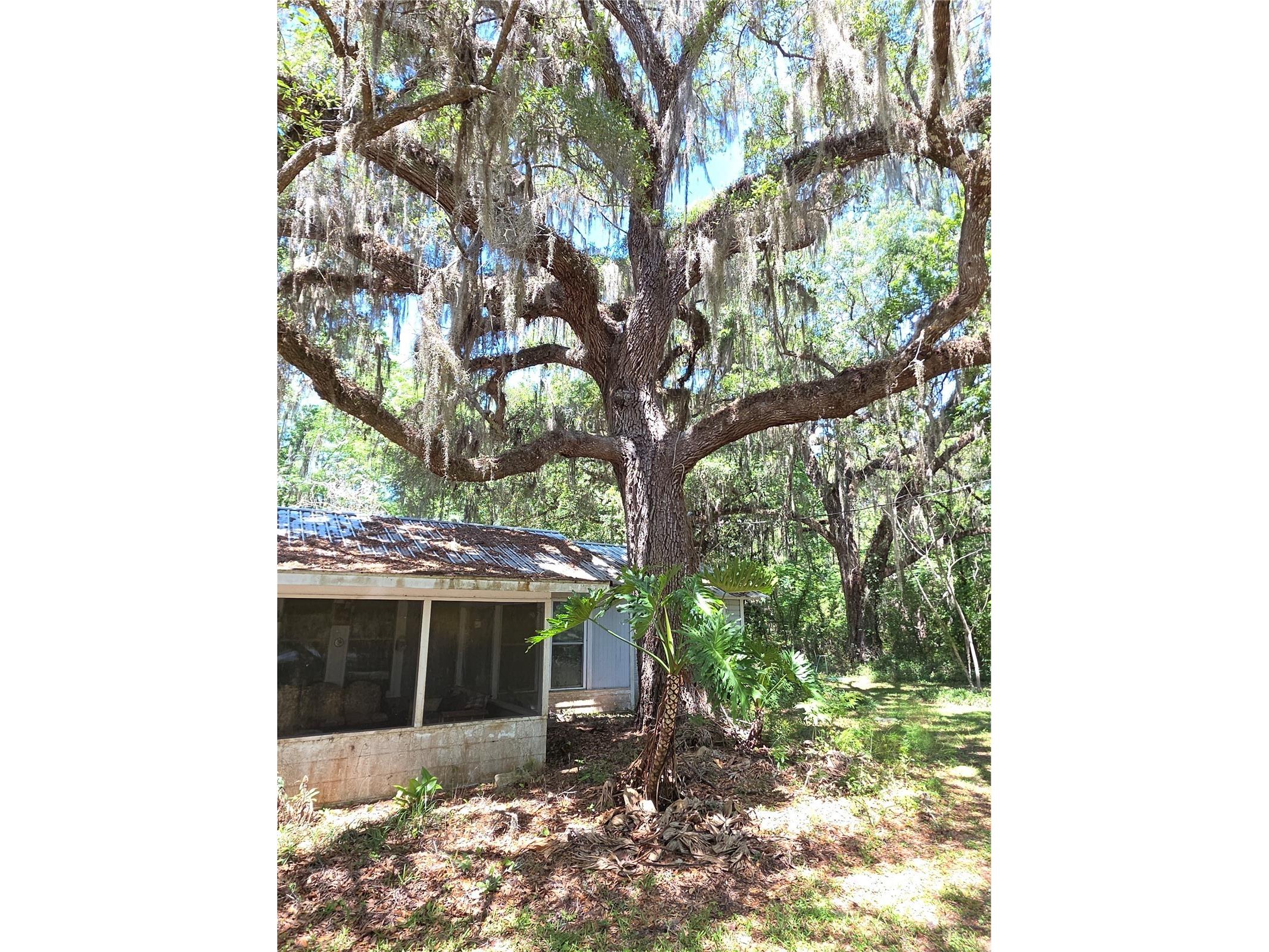 13499 Old Crystal River Road Brooksville FL 34601 W7884949 image25