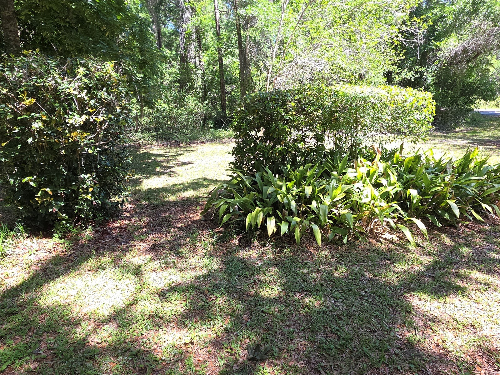 13499 Old Crystal River Road Brooksville FL 34601 W7884949 image26