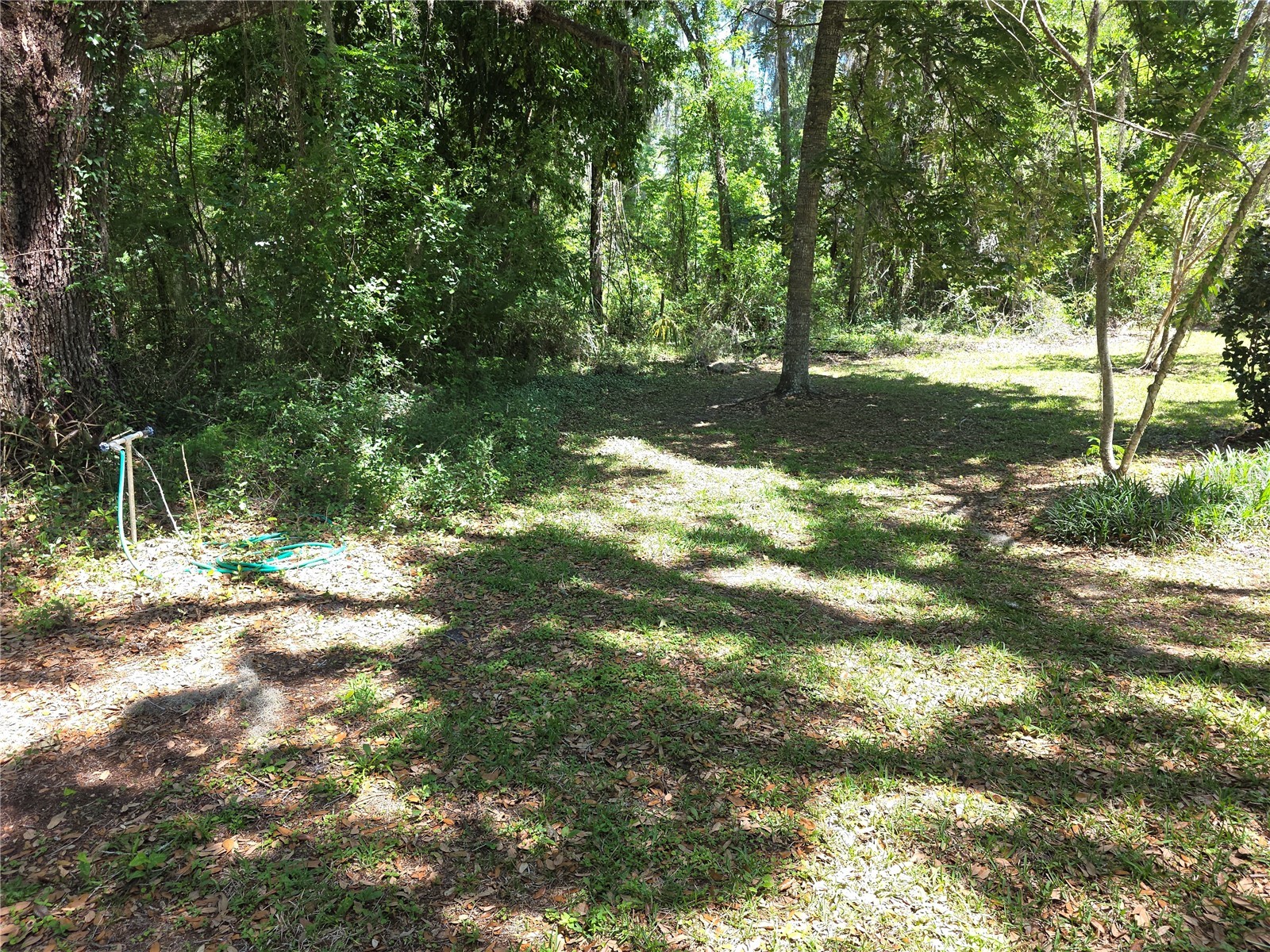 13499 Old Crystal River Road Brooksville FL 34601 W7884949 image3