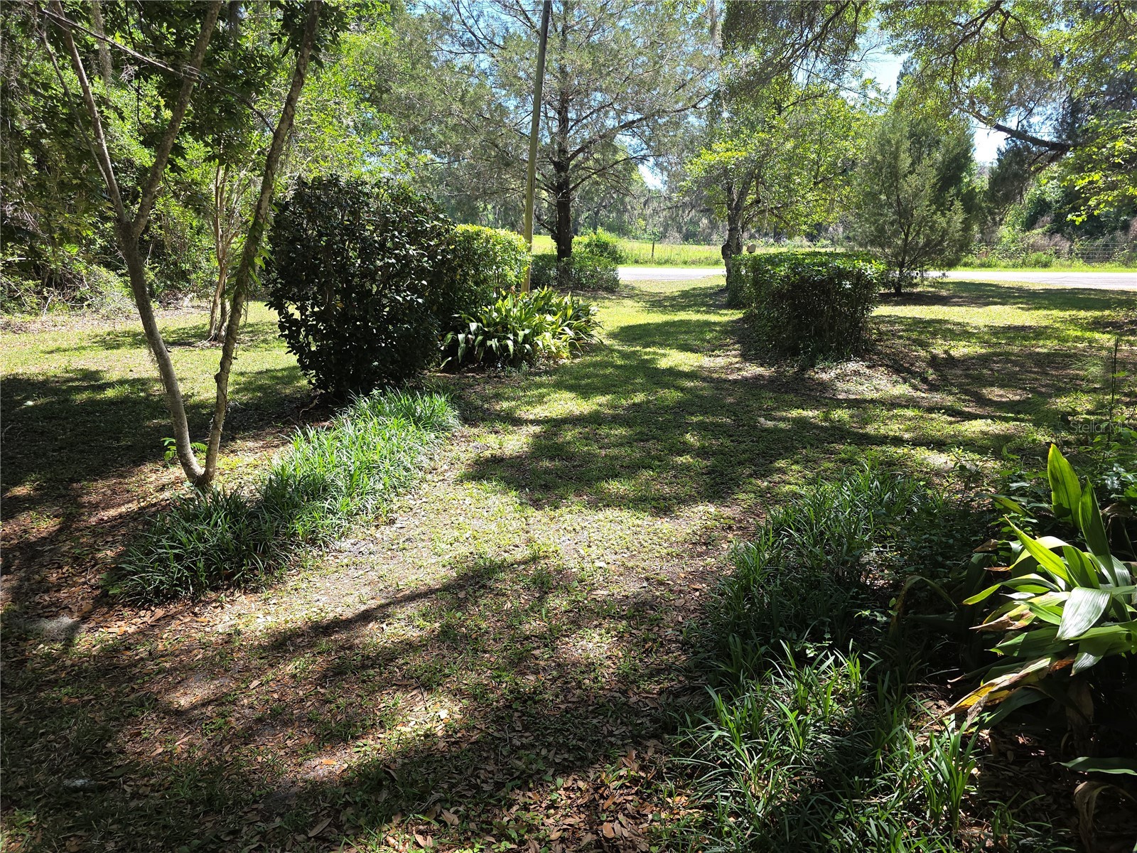 13499 Old Crystal River Road Brooksville FL 34601 W7884949 image4