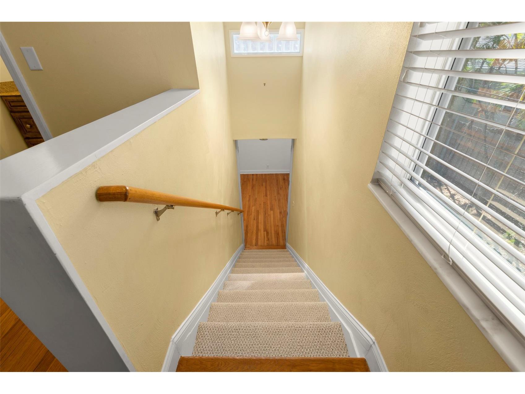 135 17th Avenue N Saint Petersburg FL 33704 TB8476186 image20