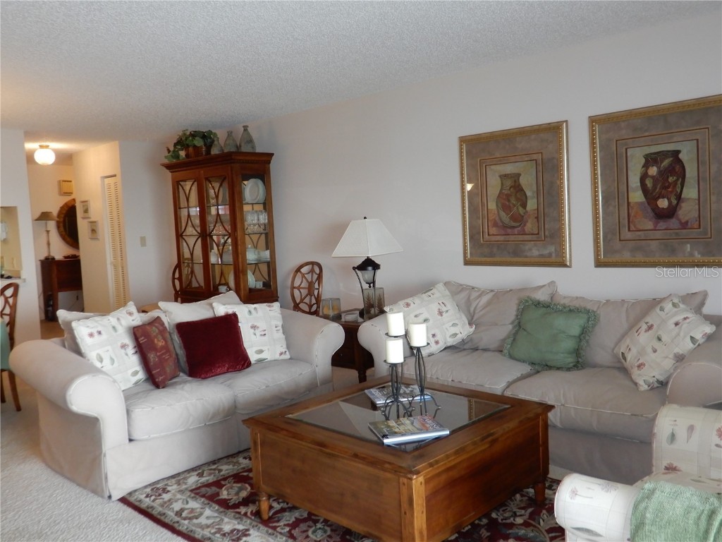 135 1st Street E #205 Tierra Verde FL 33715 - TAMPA BAY TB8414048 image12